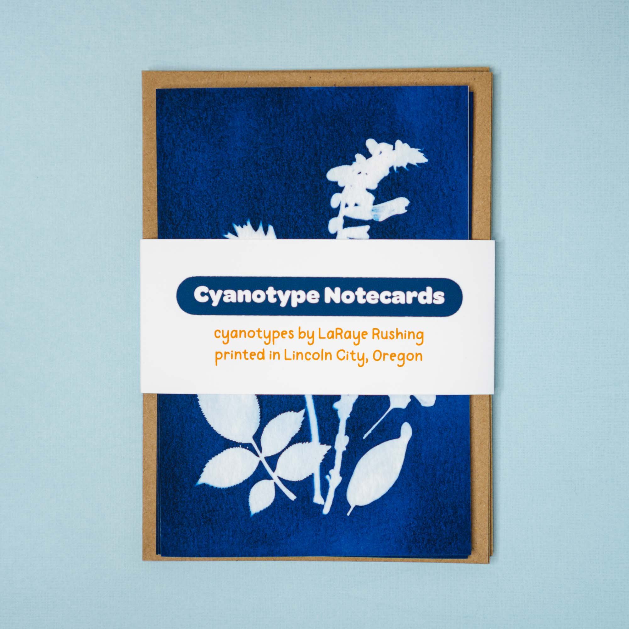 Cyanotype Notecard Set