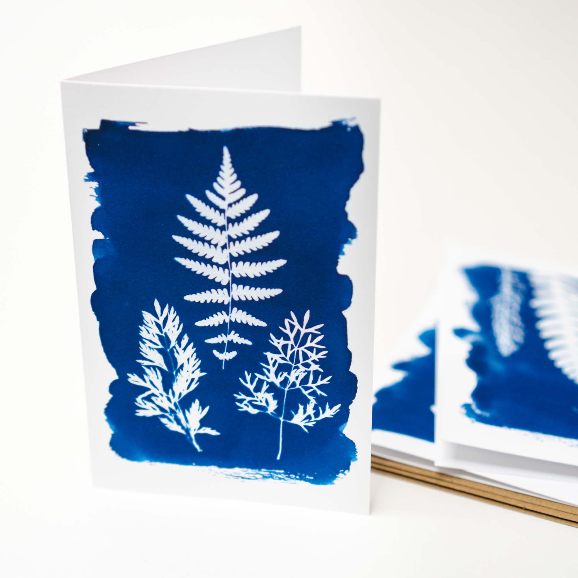 Cyanotype Notecard Set
