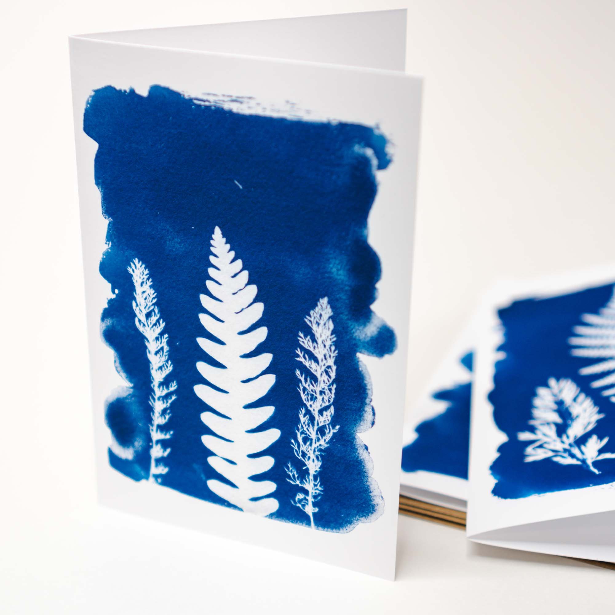 Cyanotype Notecard Set