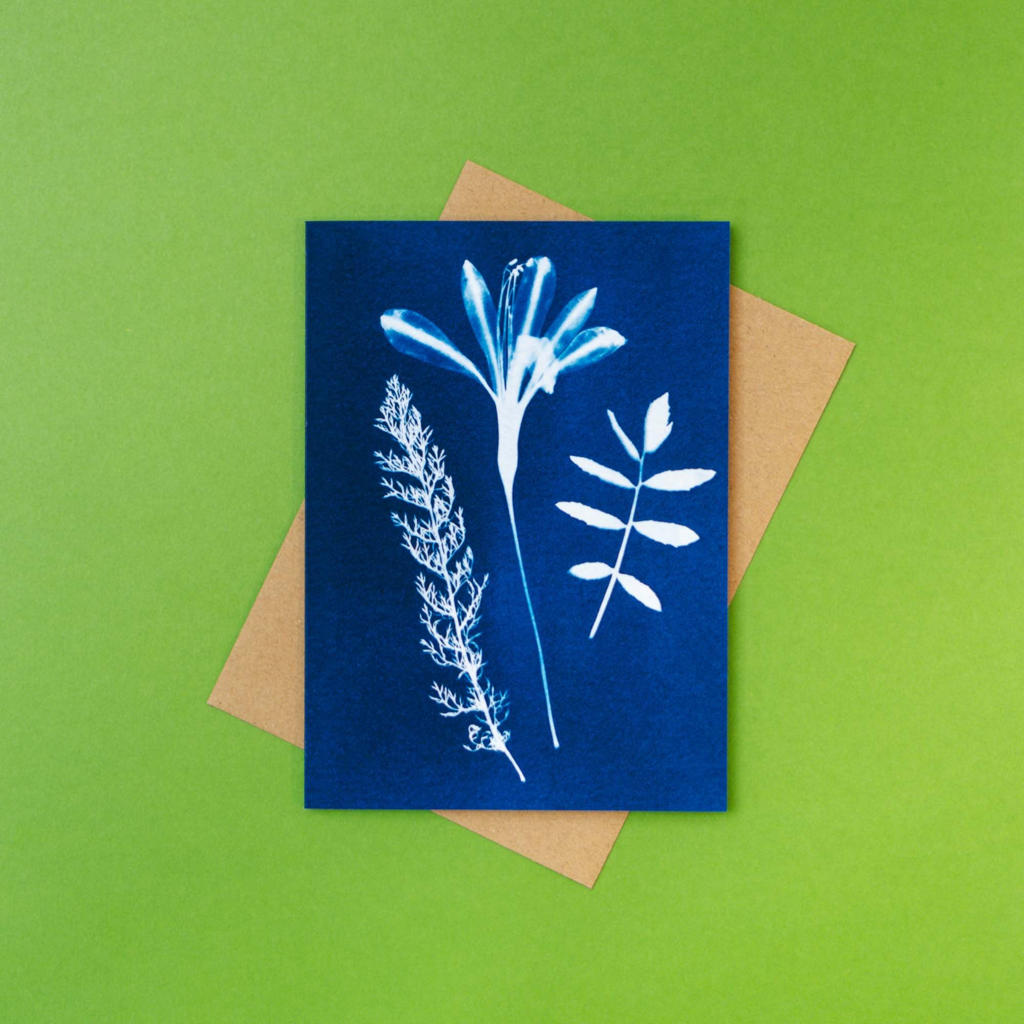 Cyanotype Notecard