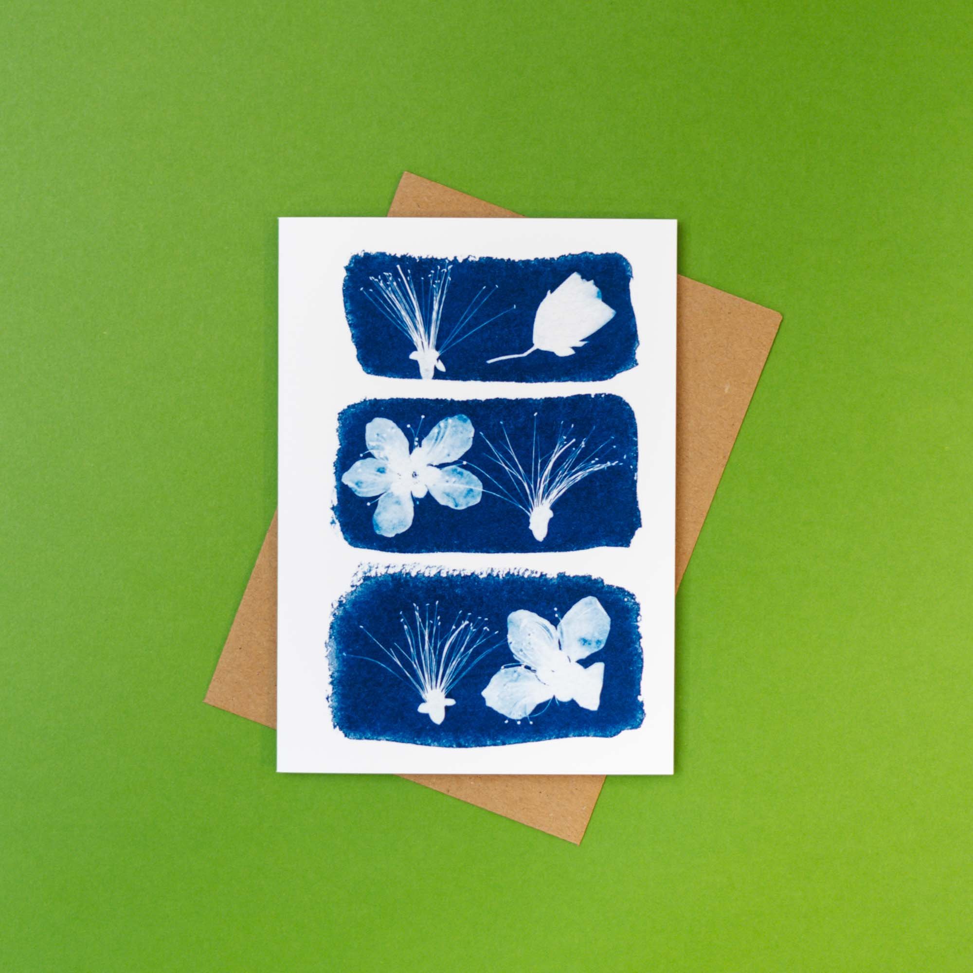 Cyanotype Notecard