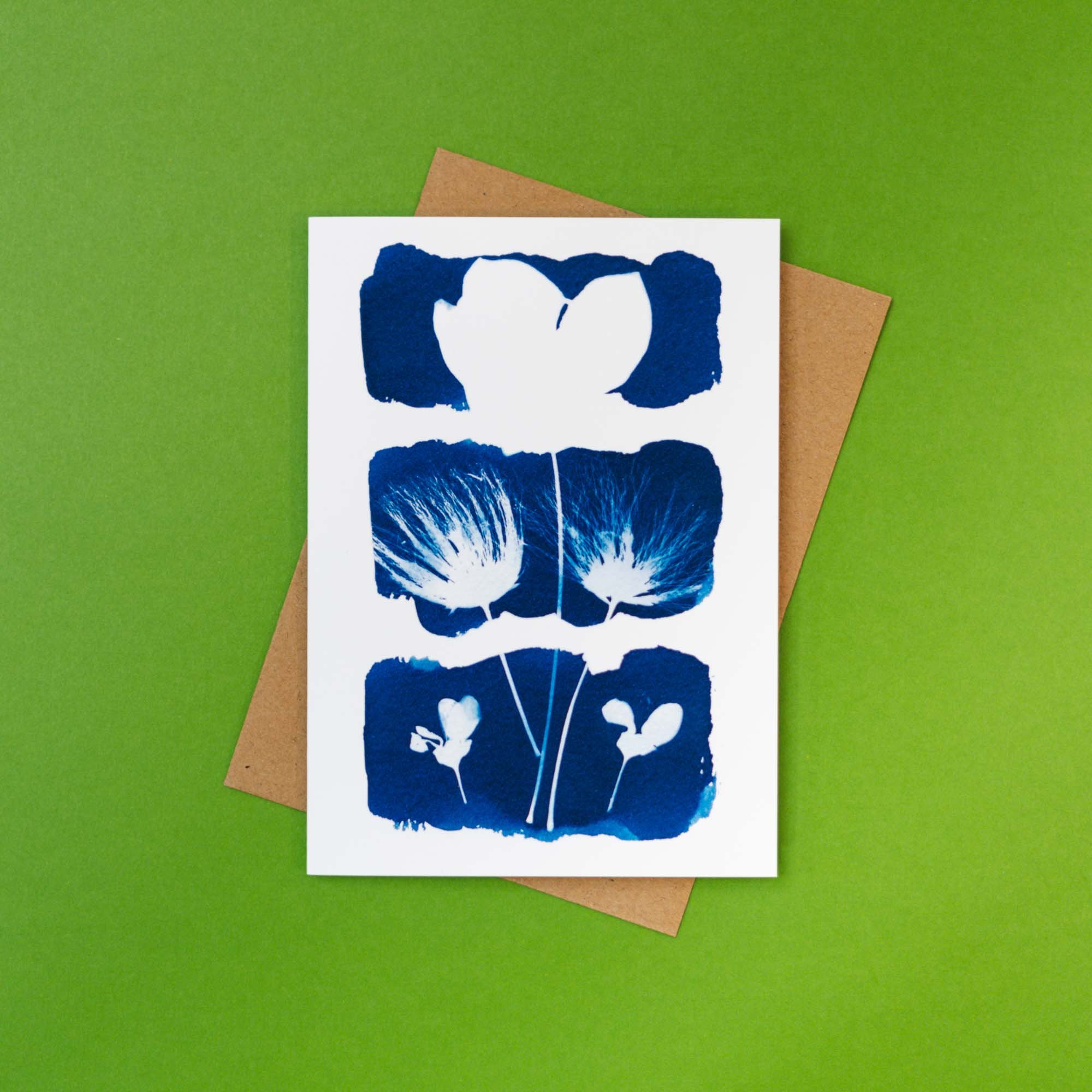 Cyanotype Notecard