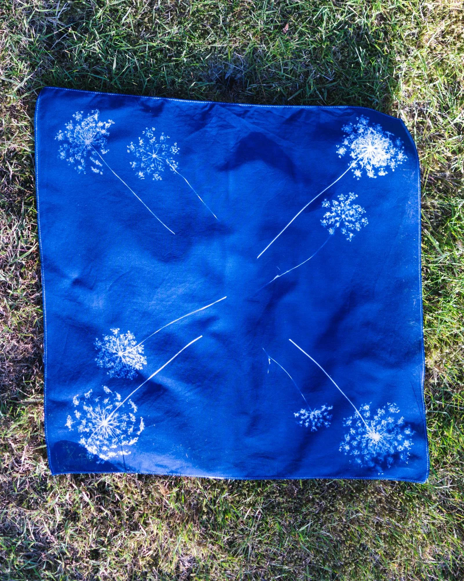 Cyanotype bandana