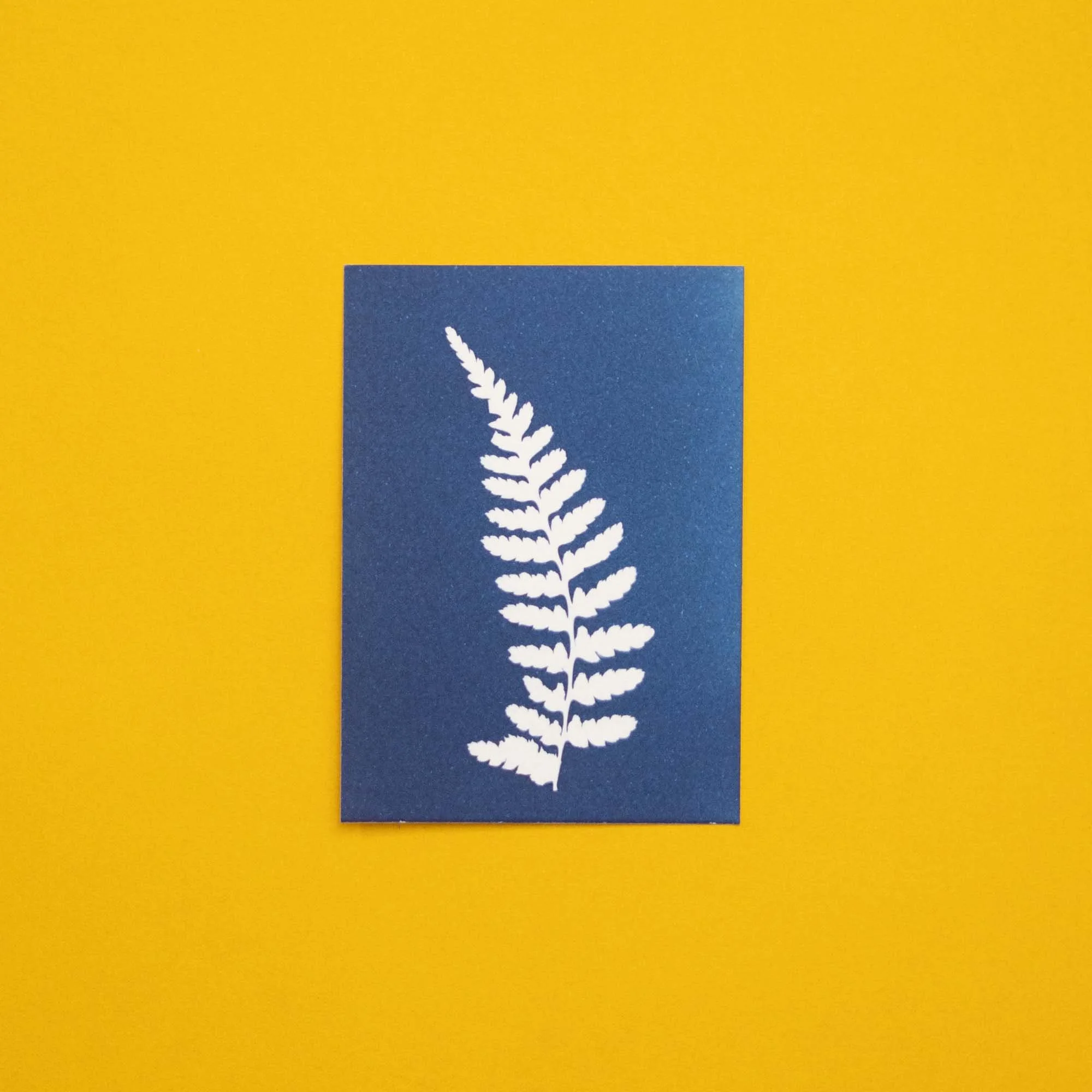 Botanical Cyanotype