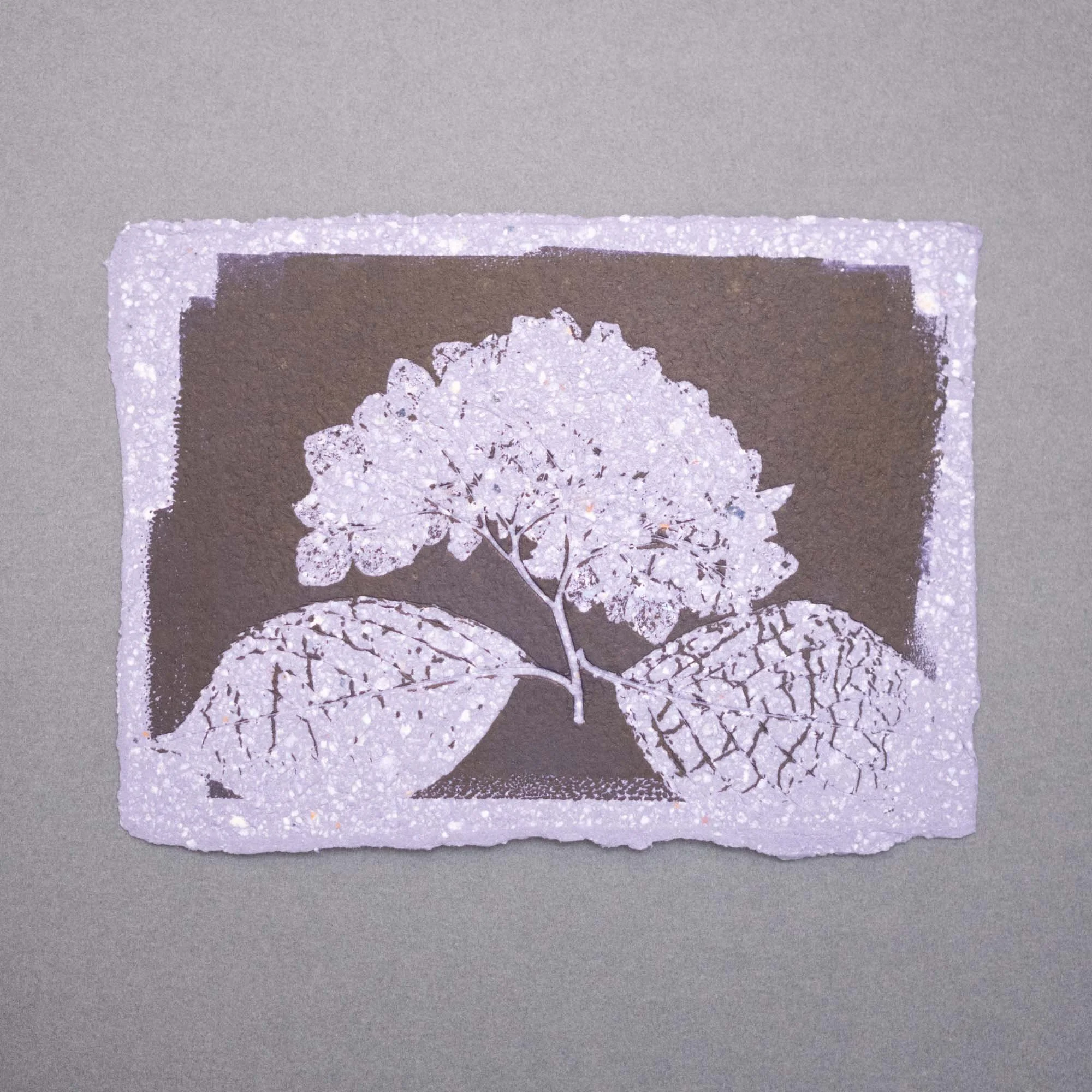 Botanical Ink Monoprint