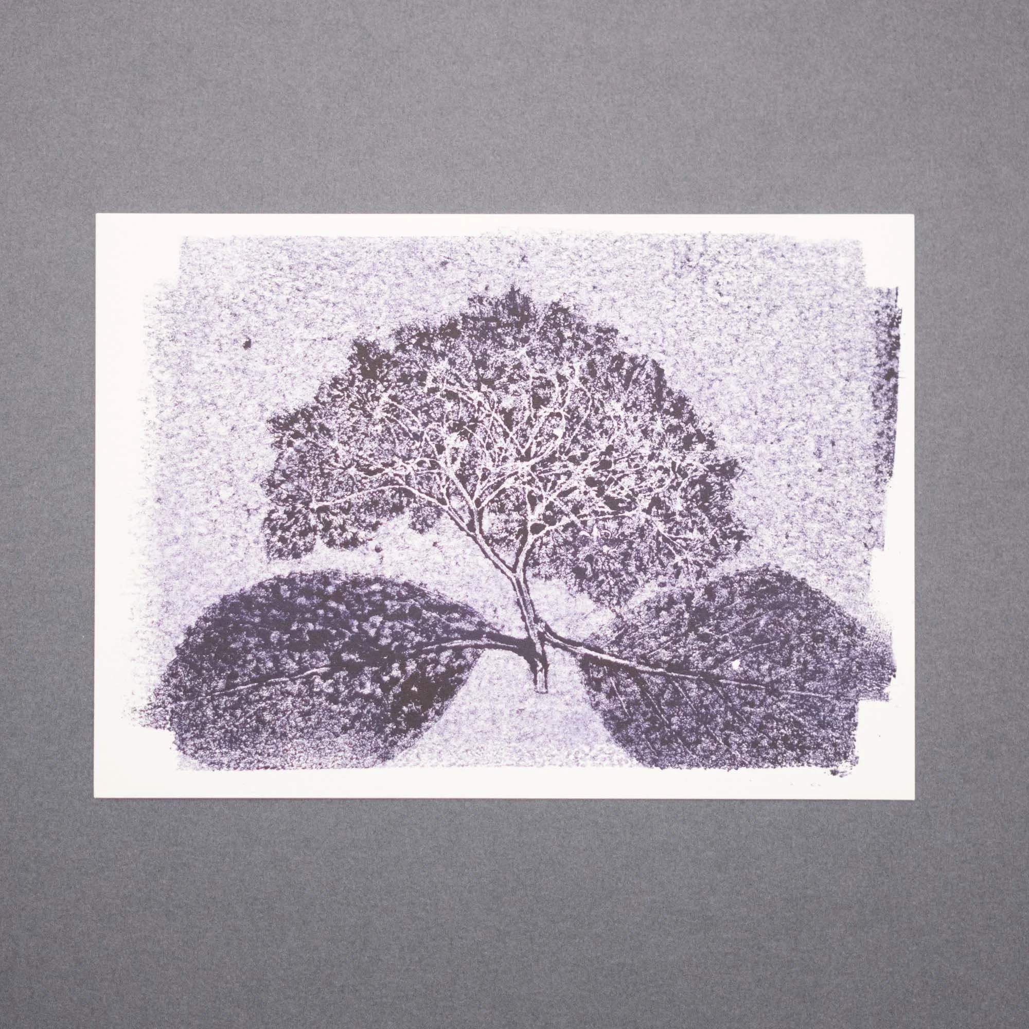 Botanical Ink Monoprint