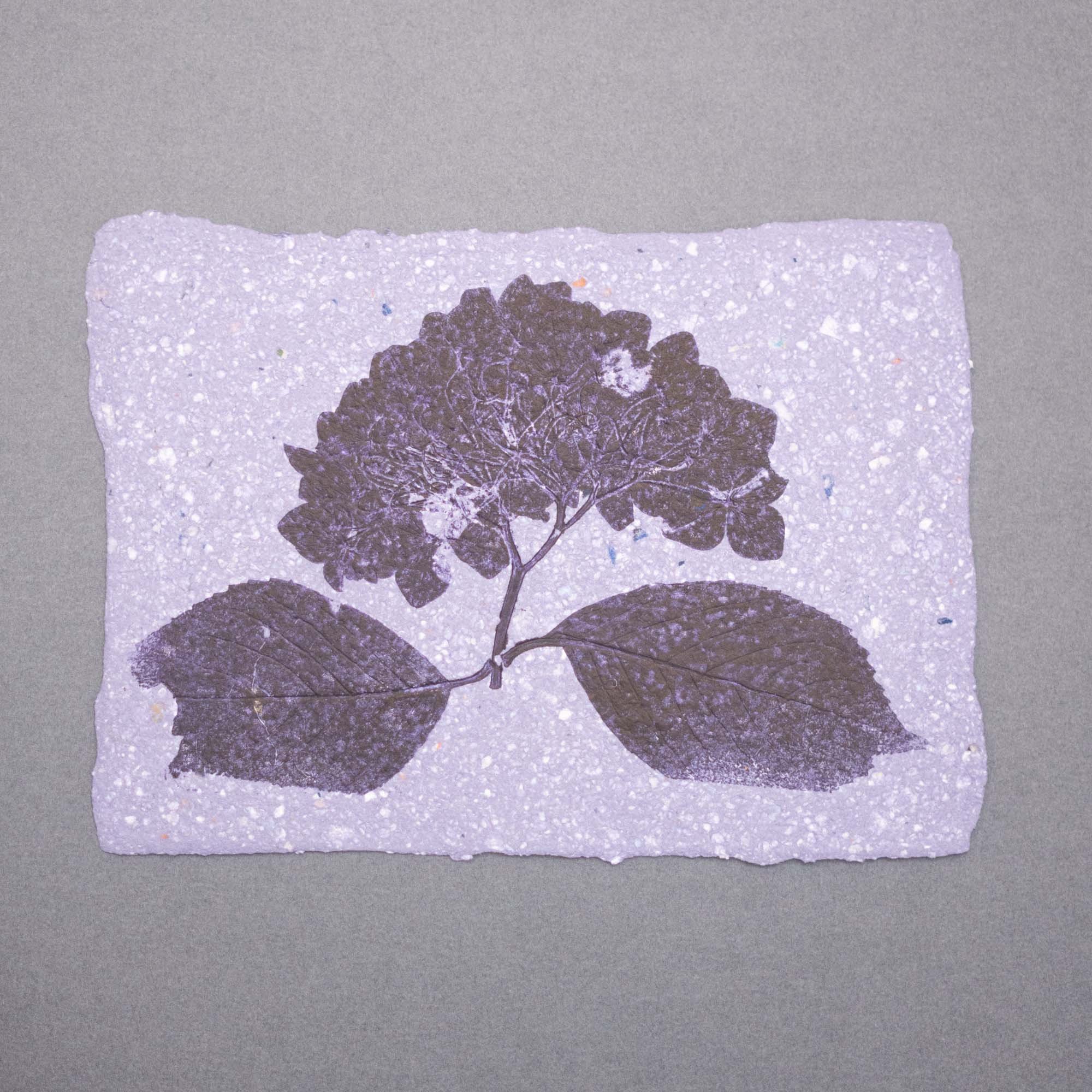 Botanical Ink Monoprint