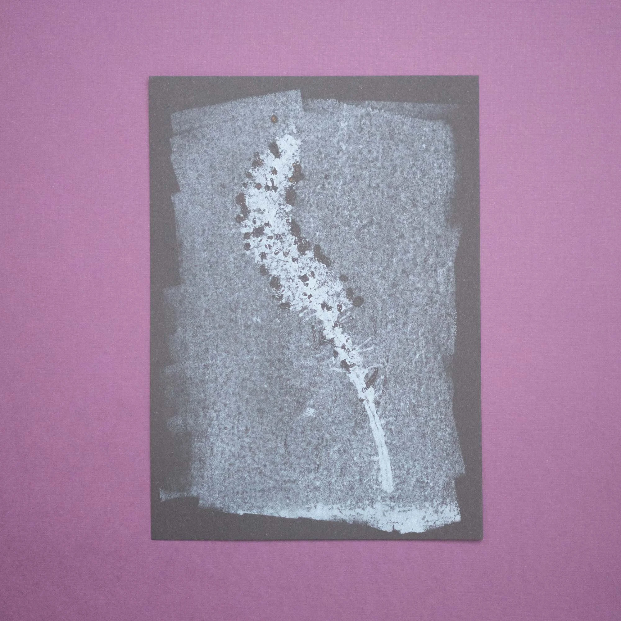 Botanical Ink Monoprint