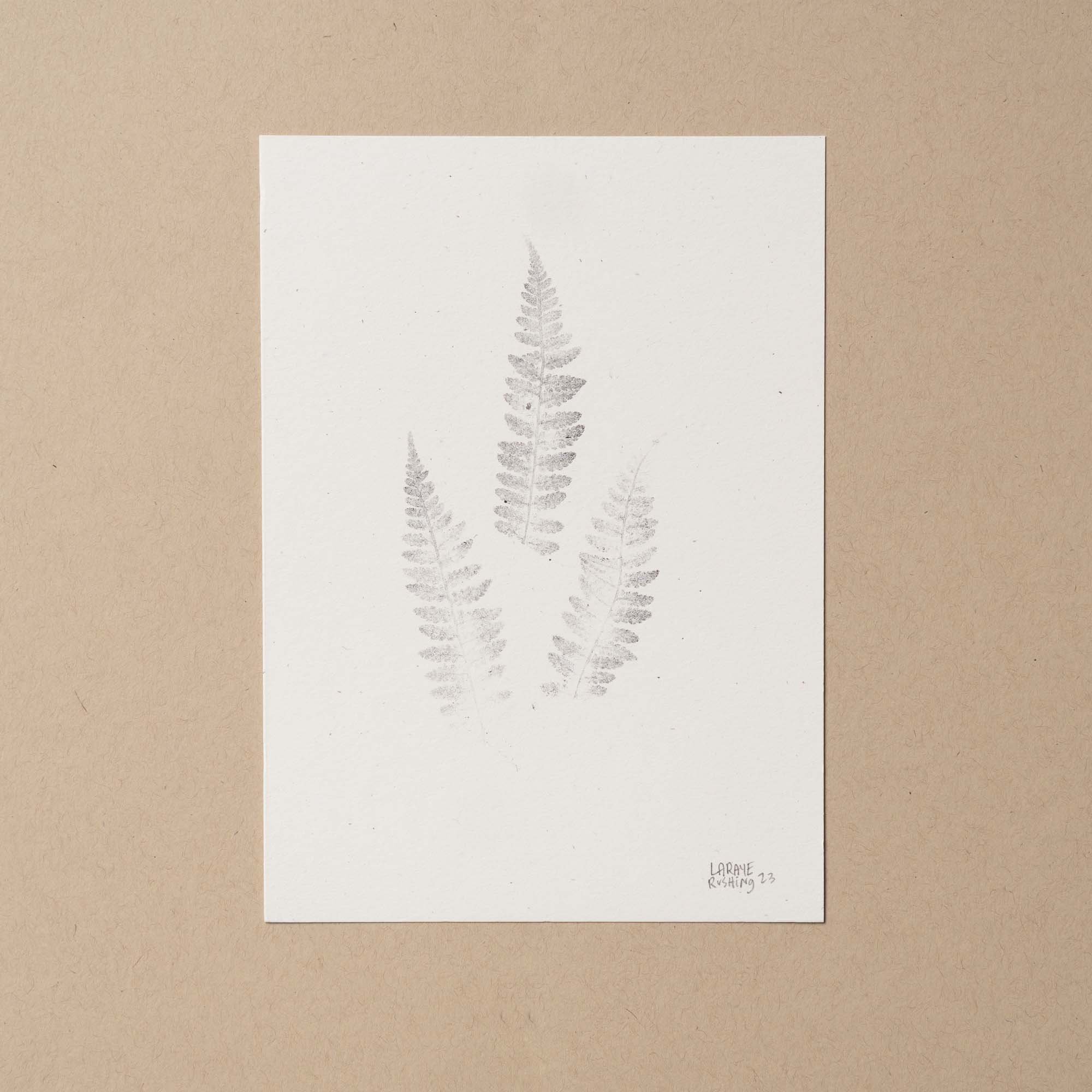 Lady Fern