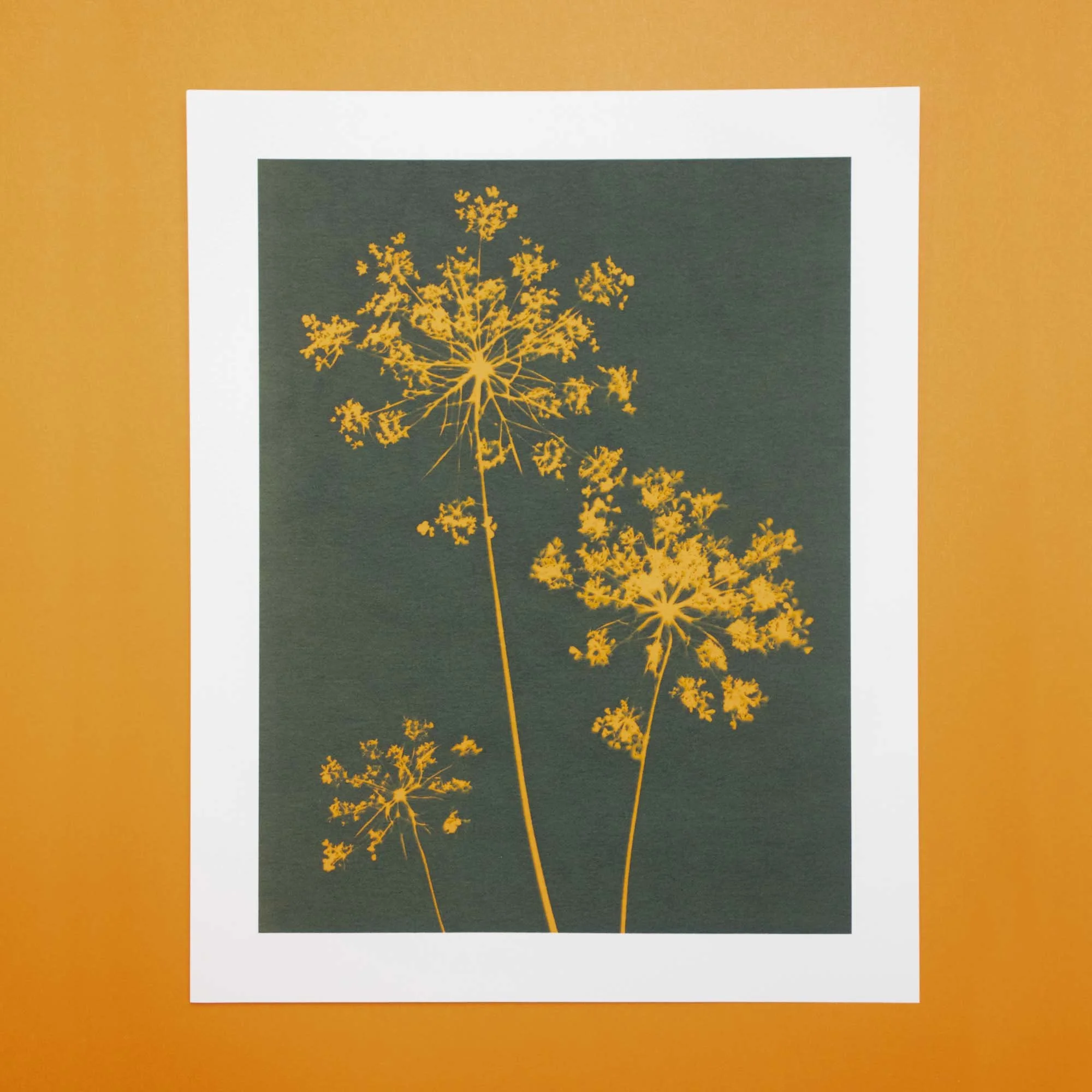 Cyanotype art print