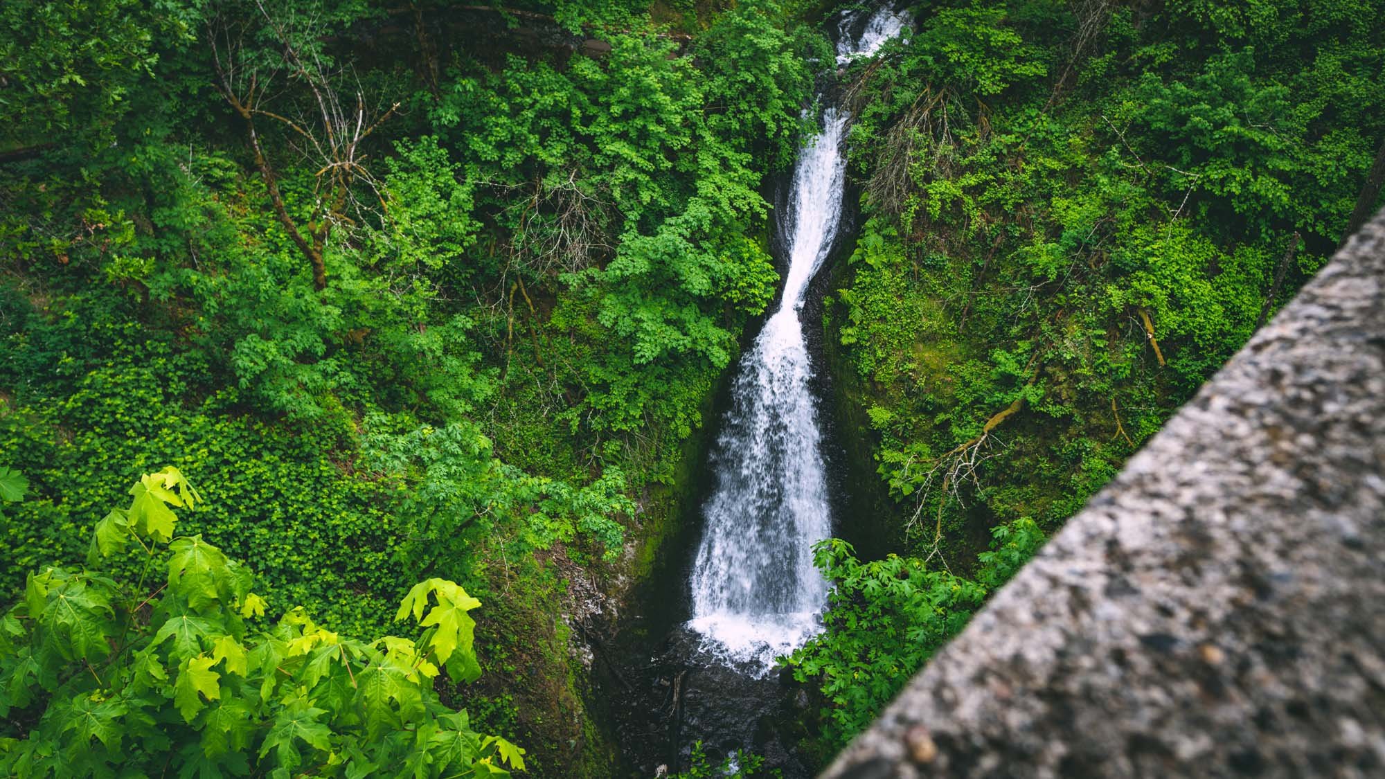 Shepperd's Dell Falls