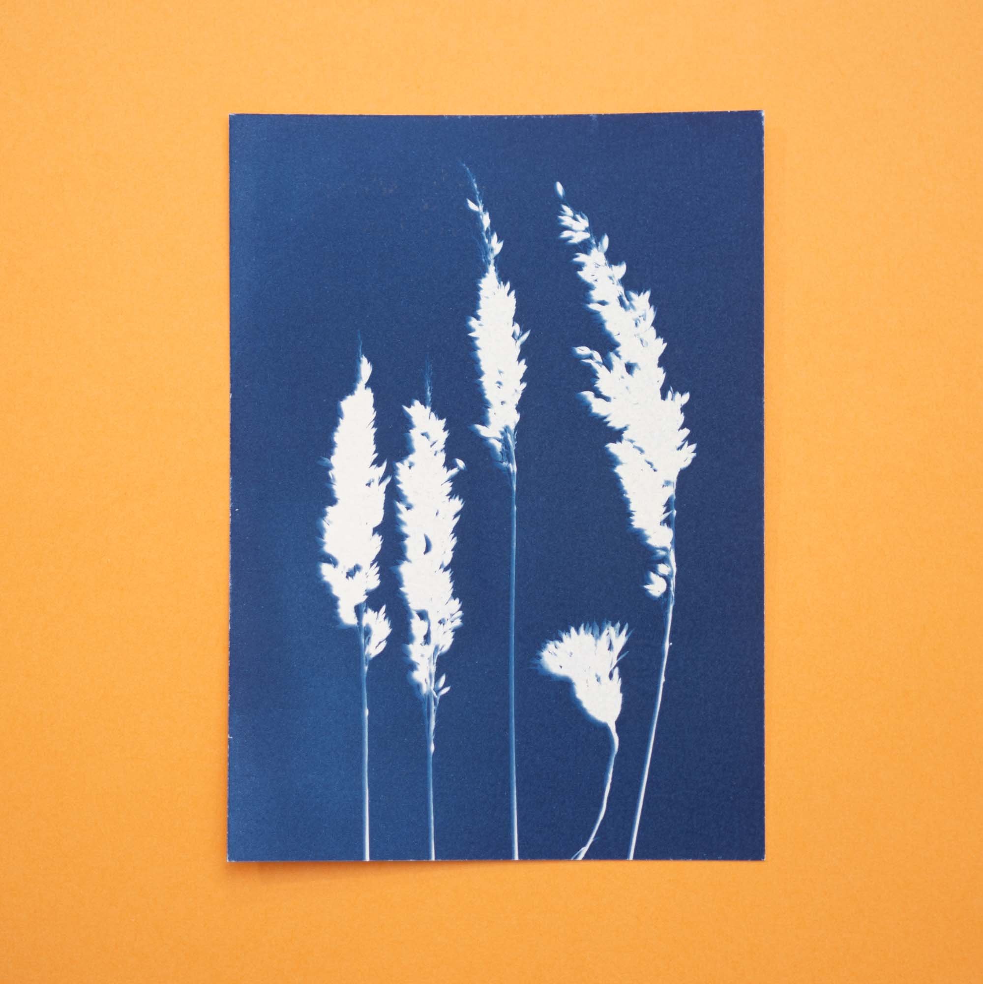 Botanical Cyanotype (25B08) (Original)