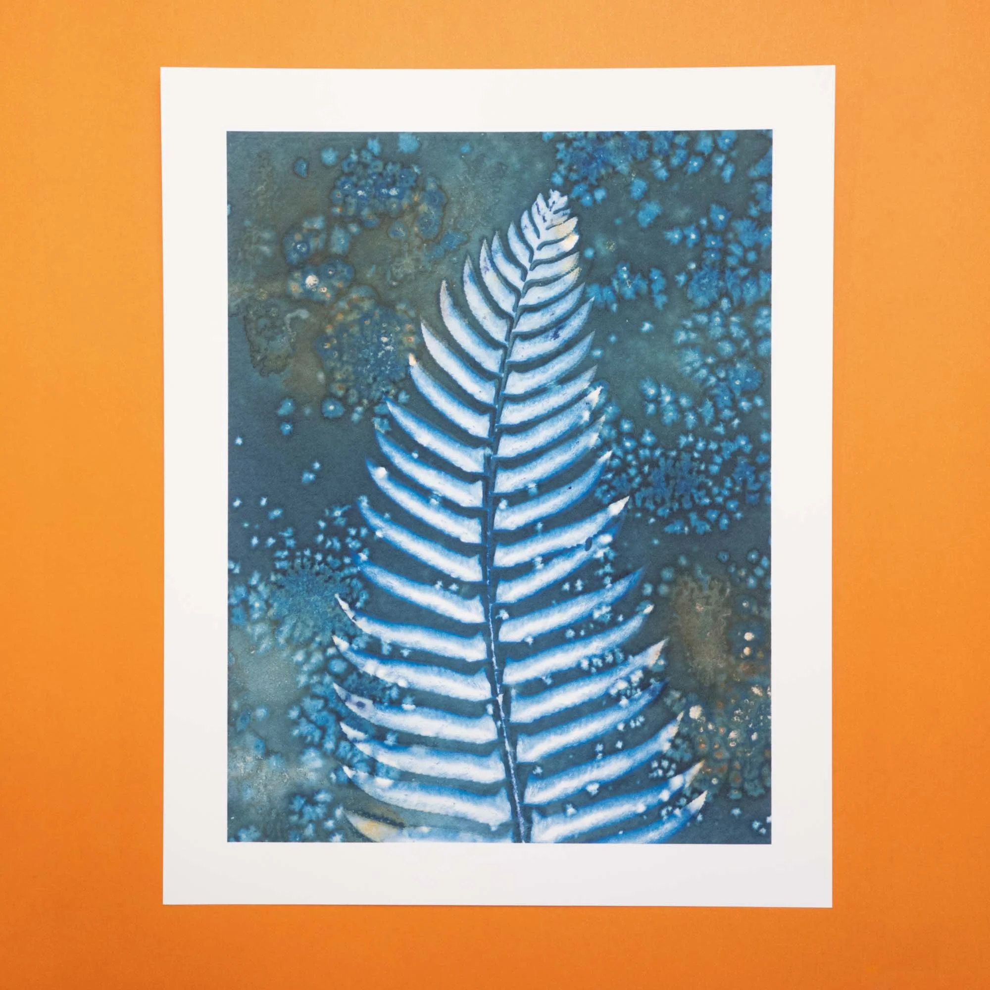 Cyanotype art print