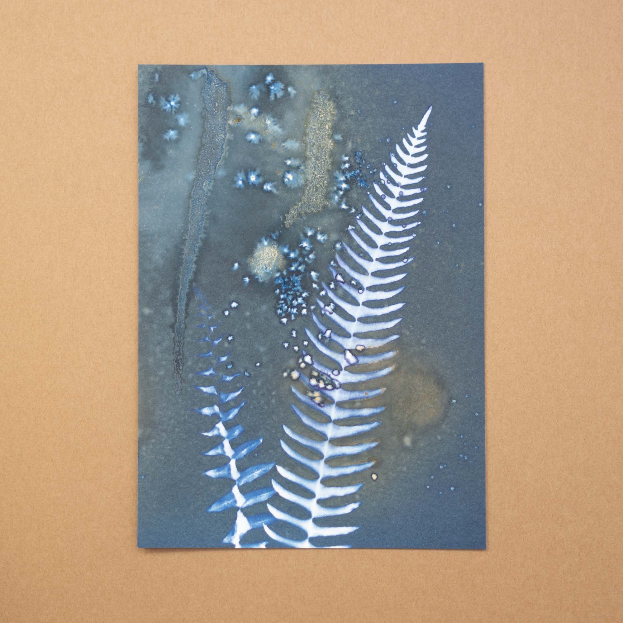 Botanical Cyanotype (25AB) (Original)