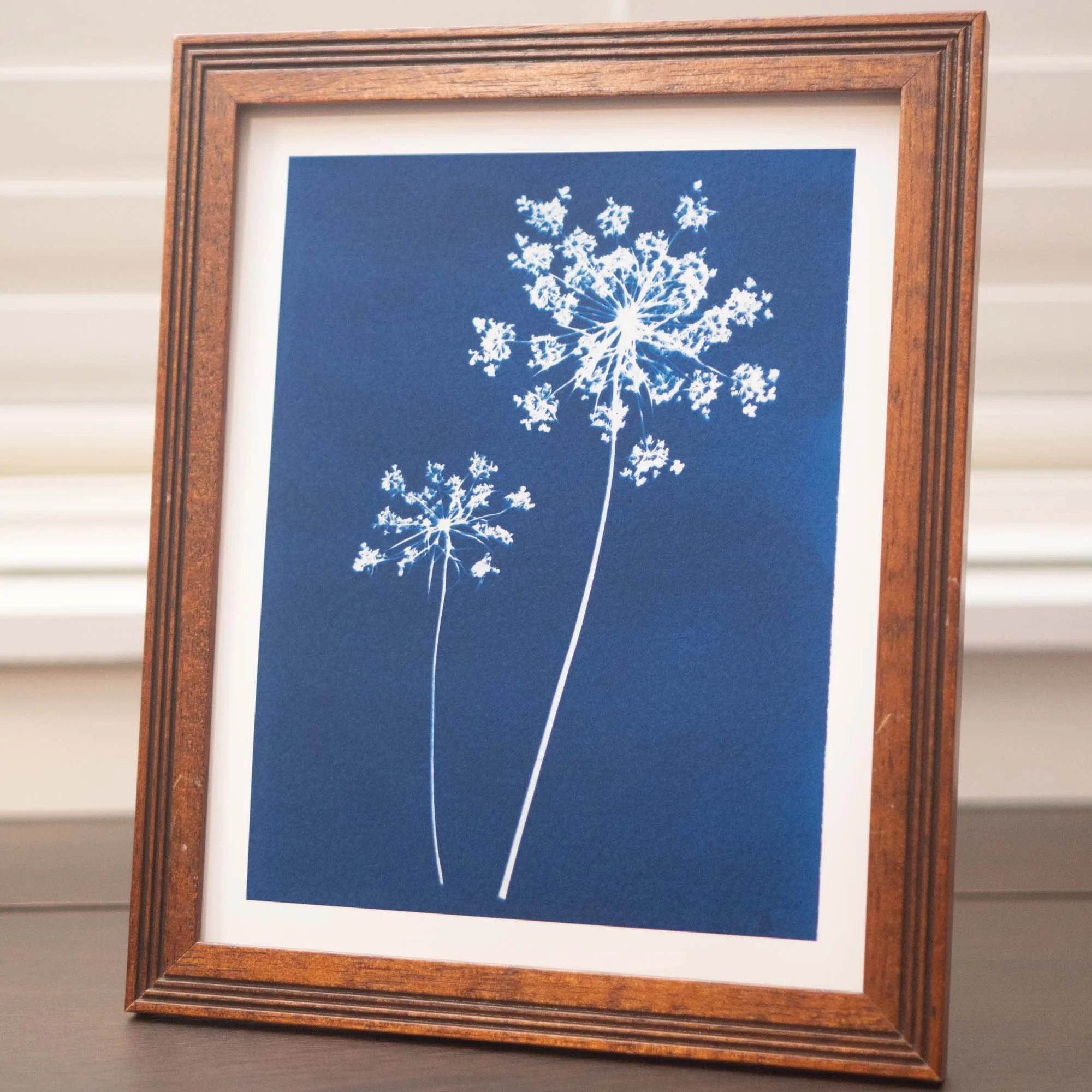 Cyanotype art print in a frame