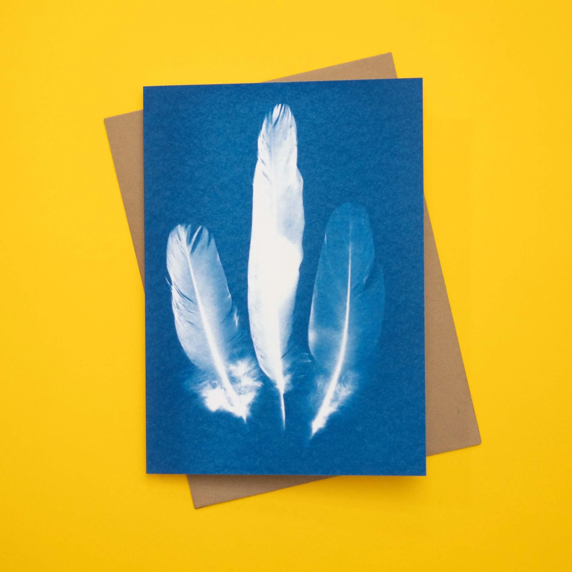 Cyanotype notecard and envelope