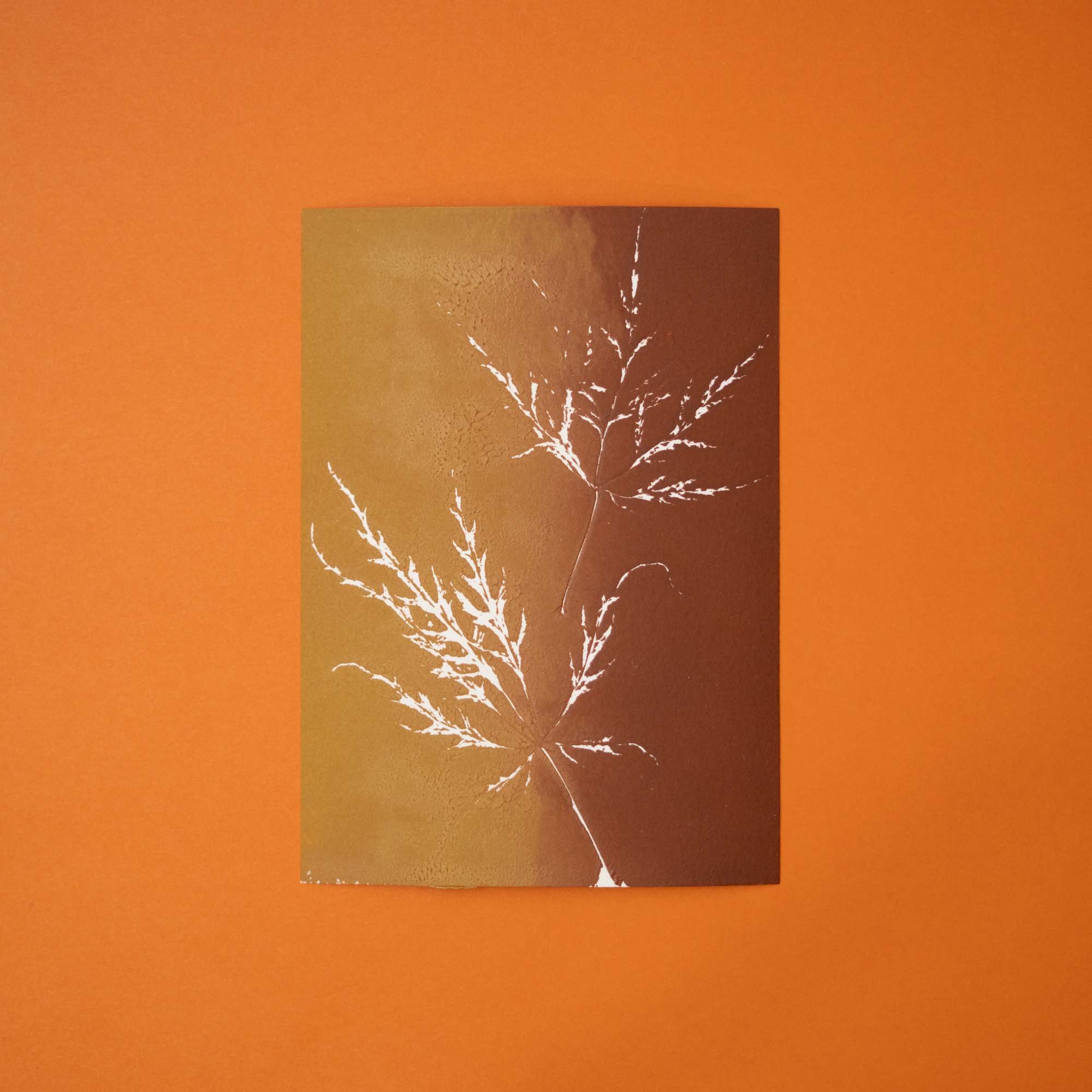 Botanical Monoprint (24T) (Original)