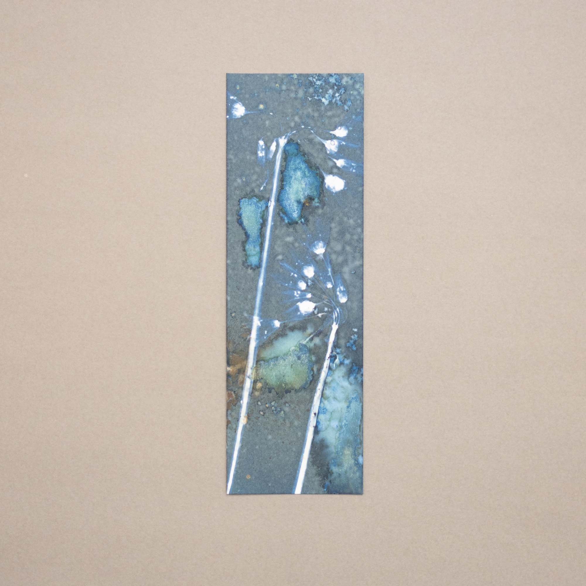Botanical cyanotype