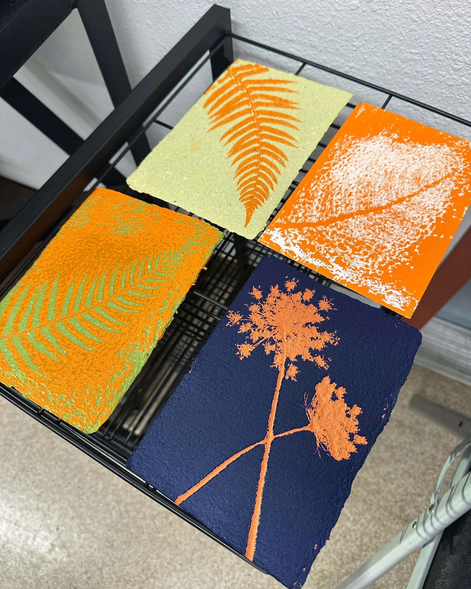 Ink monoprints drying on a rack