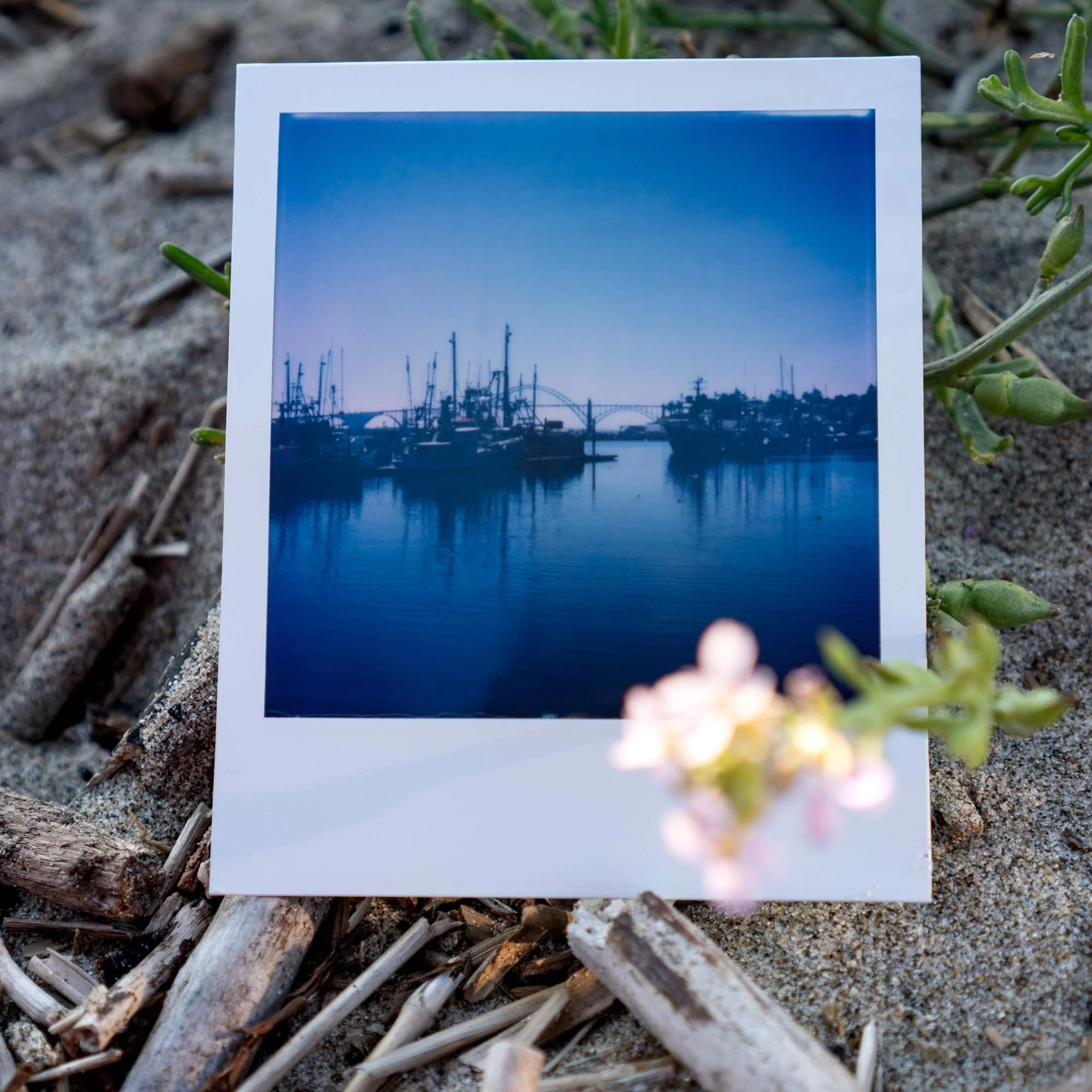 Polaroid Week Autumn 2022 - Day 06 Photo 01