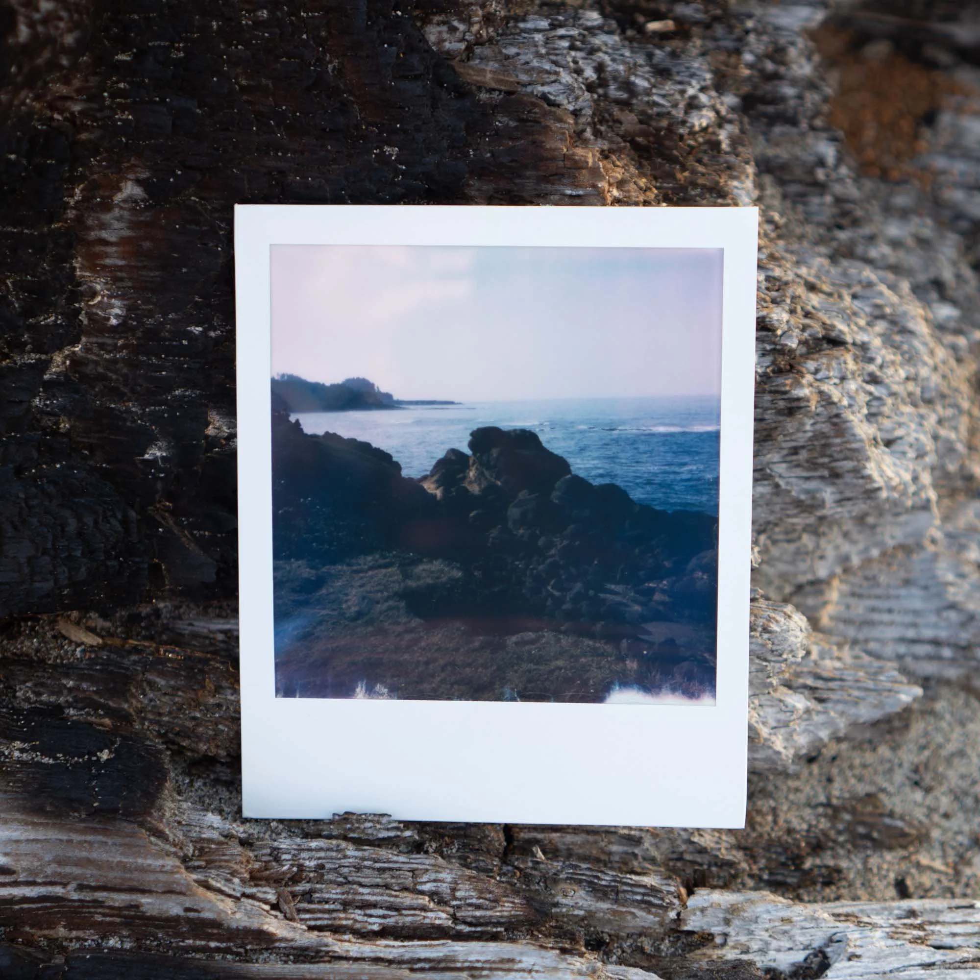 Polaroid Week Autumn 2022 - Day 05 Photo 02