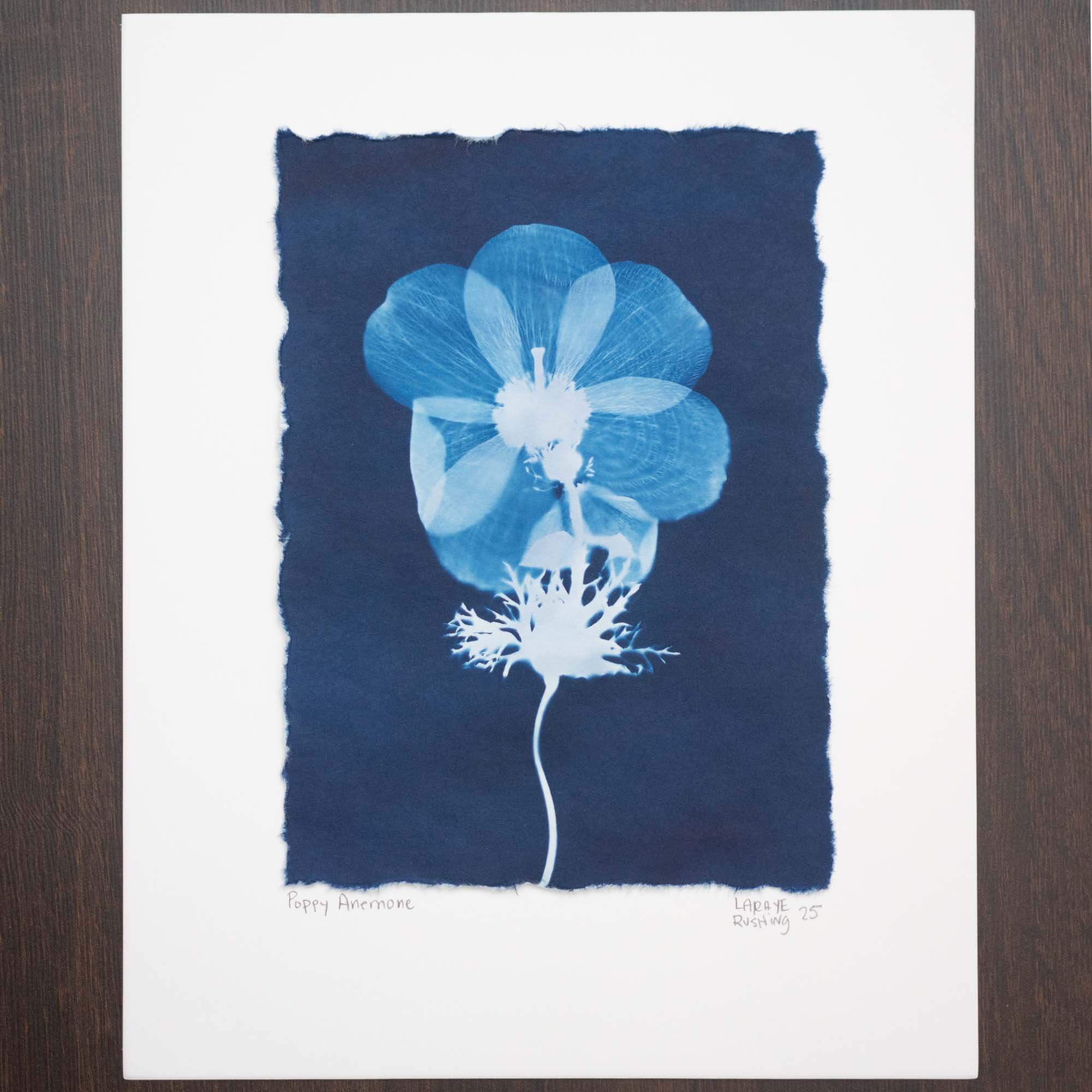 Botanical cyanotype