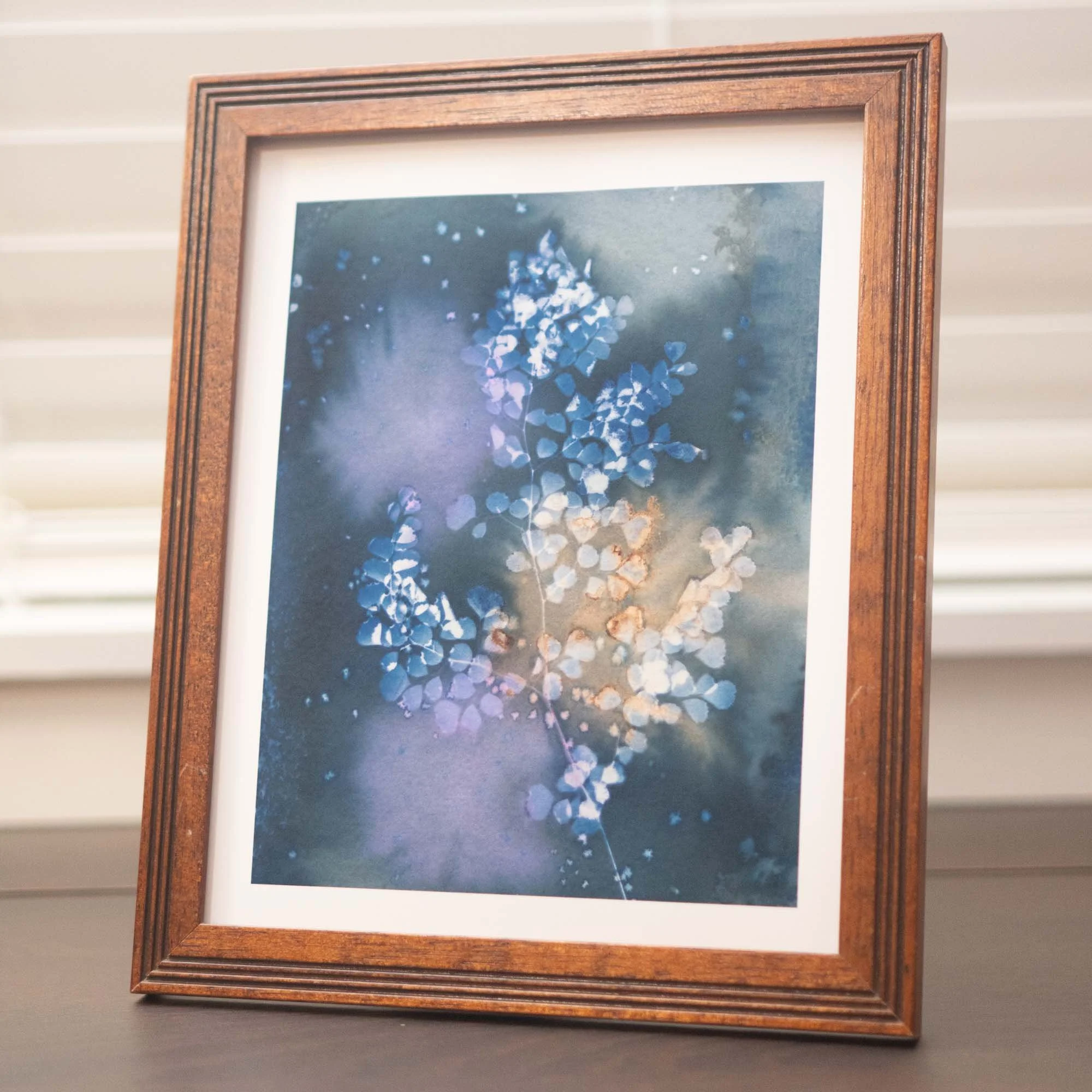 Cyanotype art print in a frame