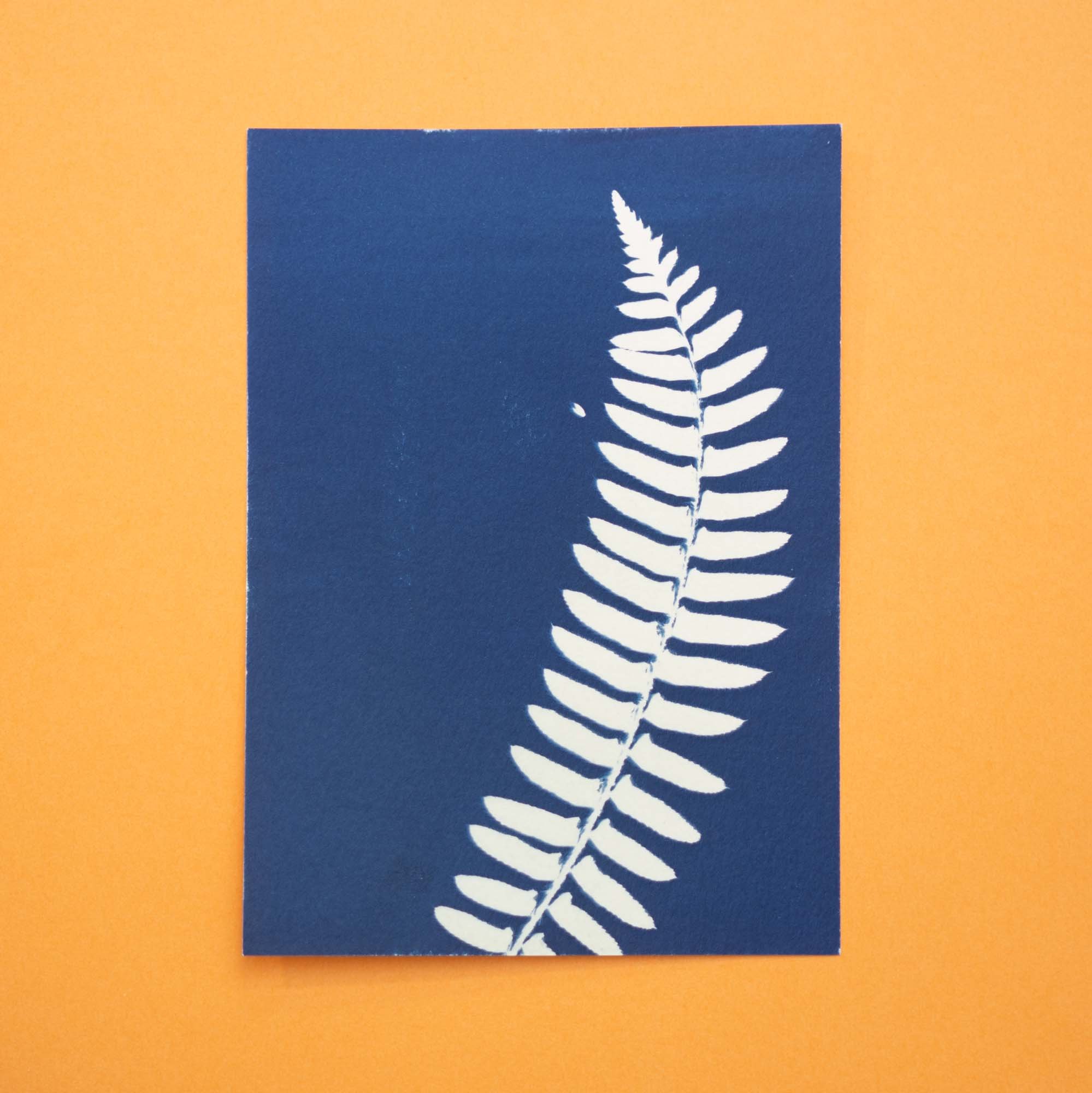 Botanical Cyanotype (25B09) (Original)