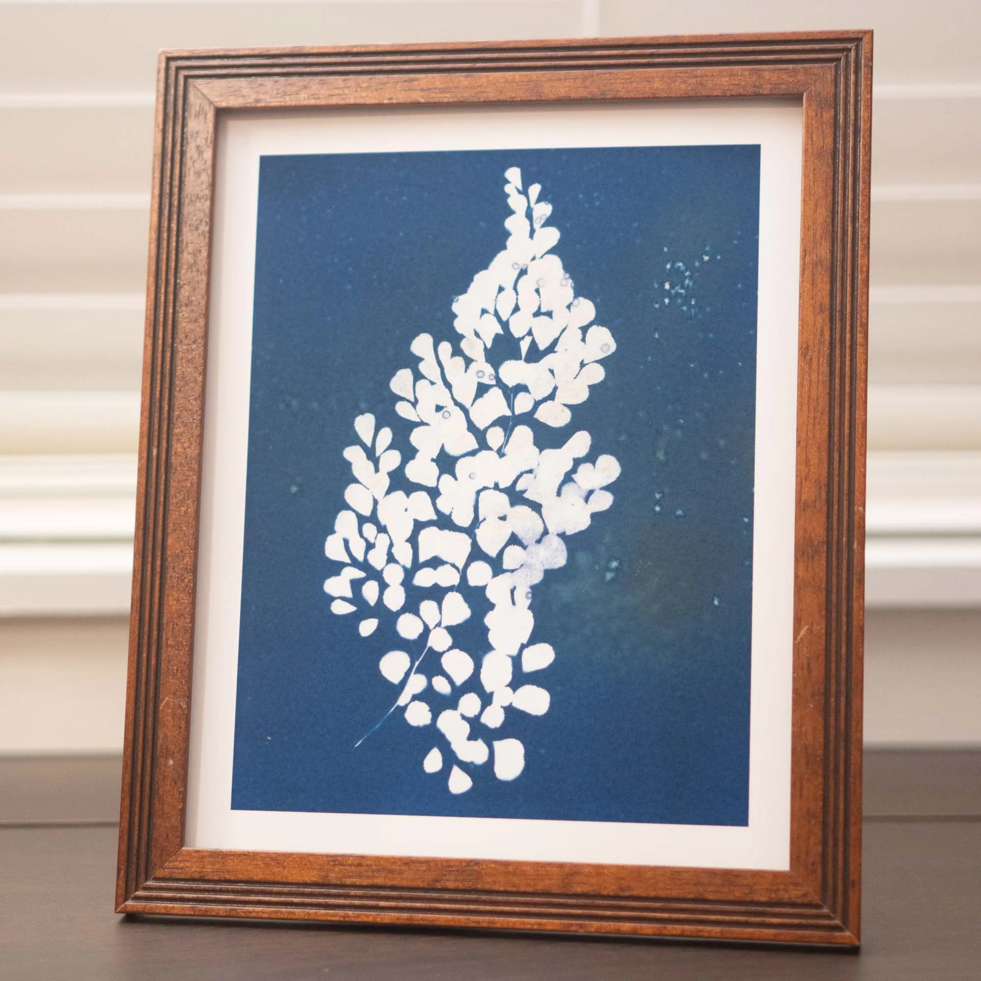 Cyanotype art print in a frame
