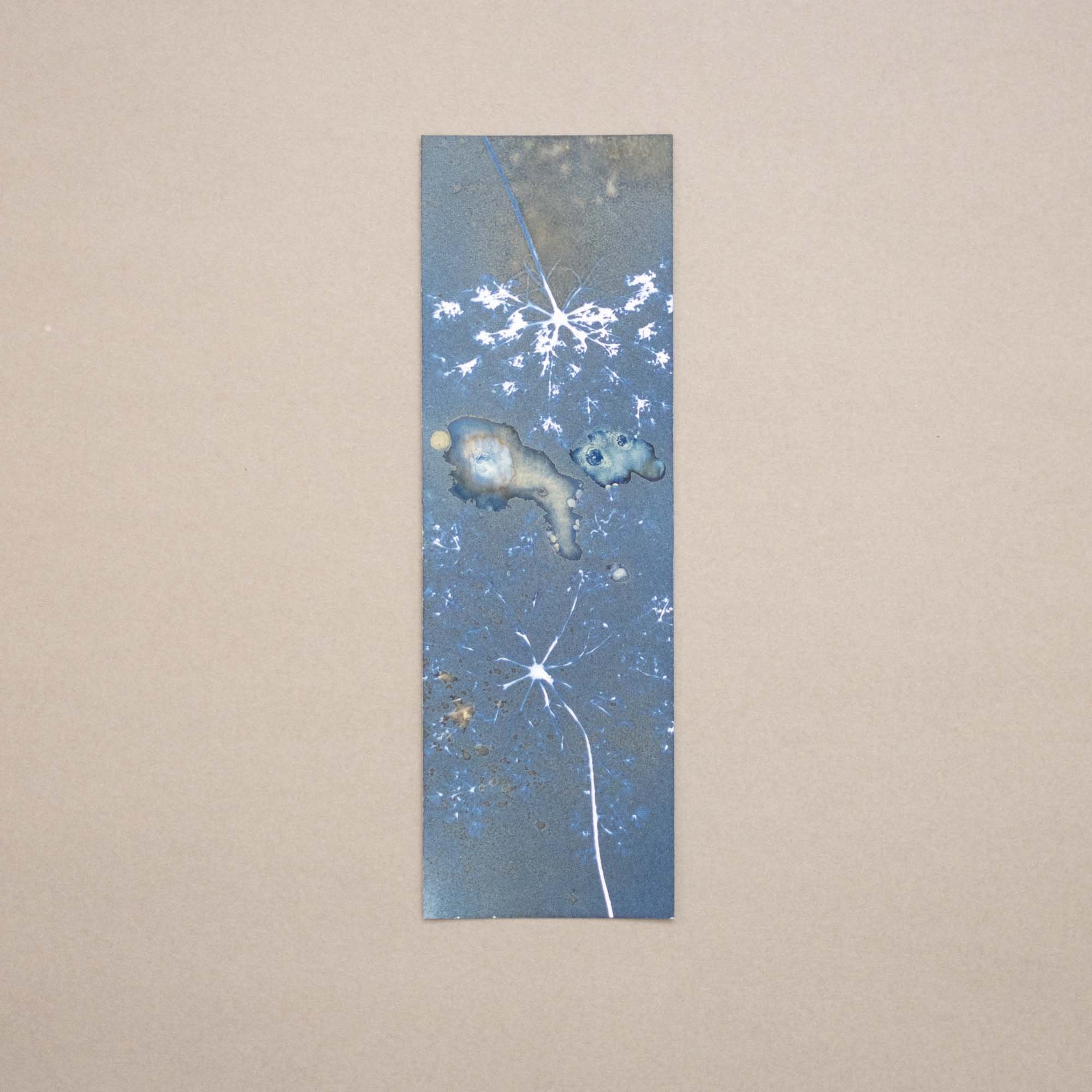 Botanical cyanotype