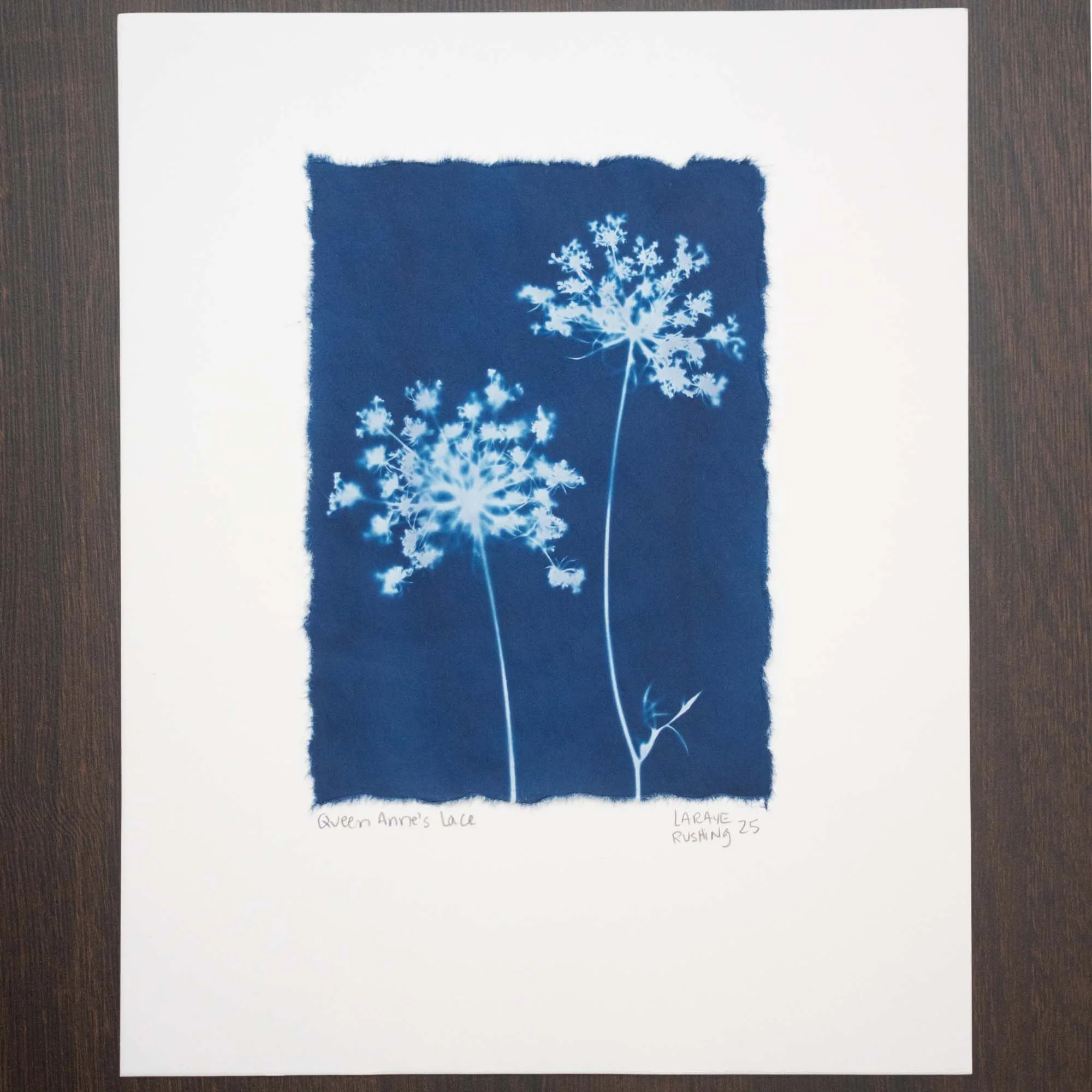 Botanical cyanotype