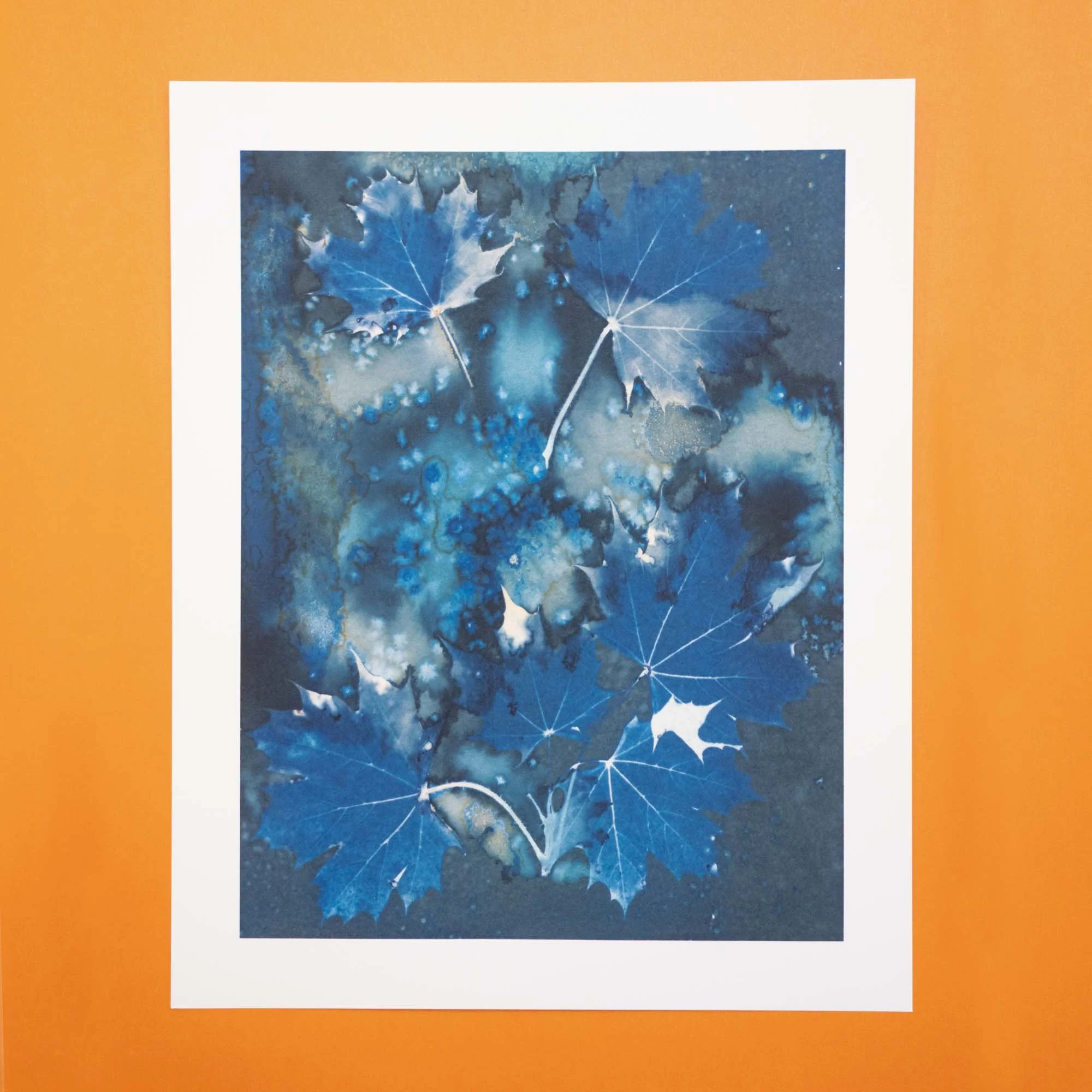 Cyanotype art print