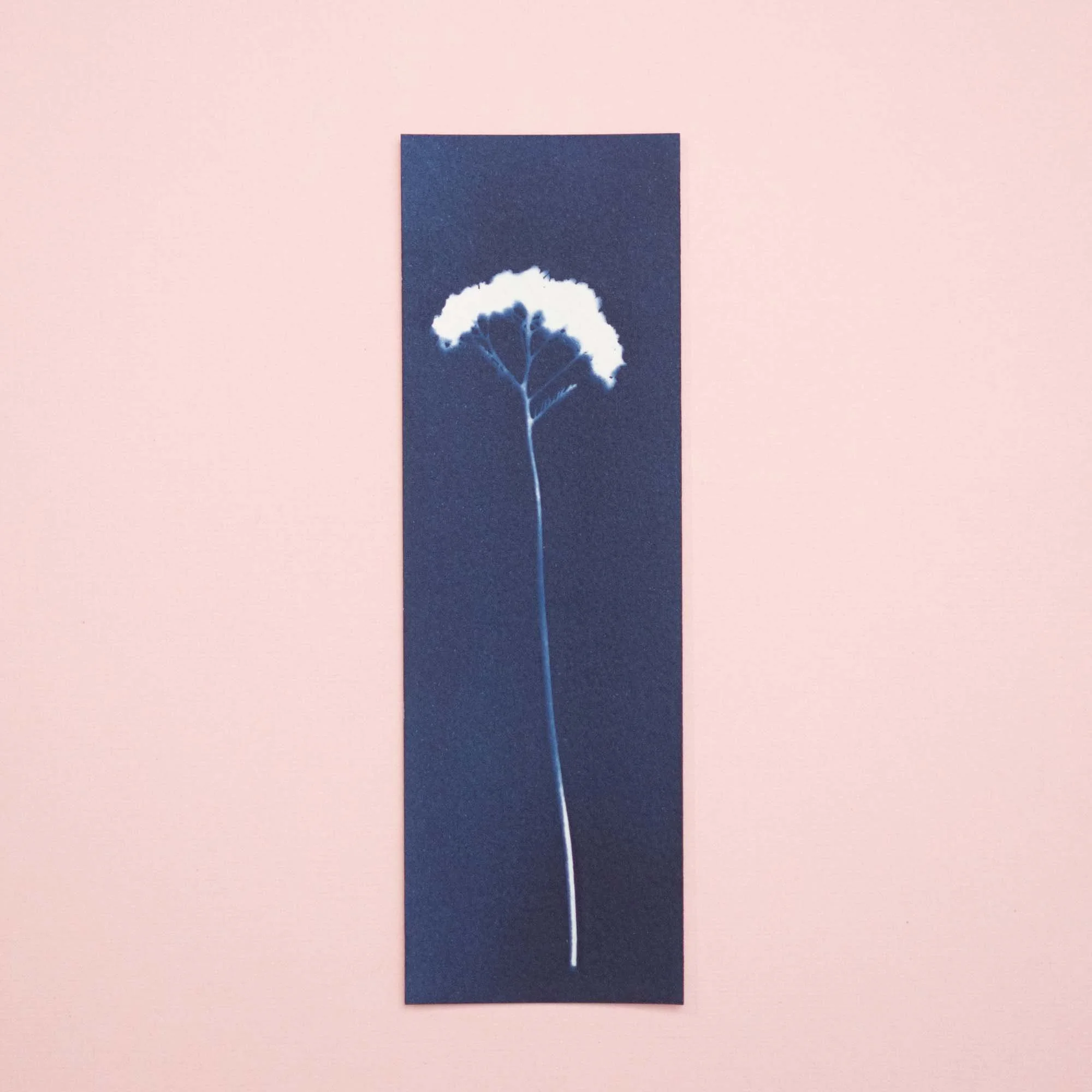 Botanical Cyanotype Bookmark (26B16) (Original)