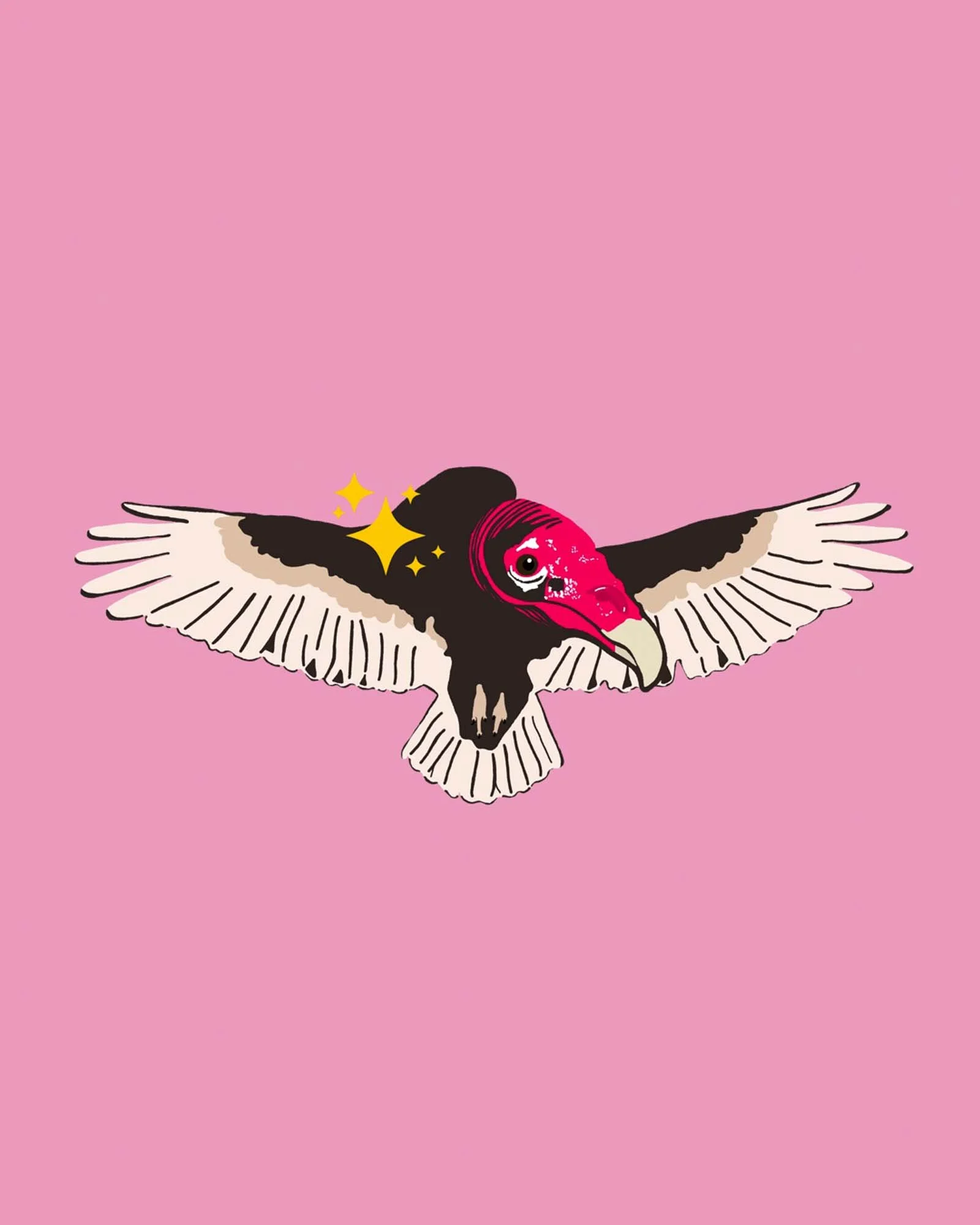 Turkey Vulture Illustration