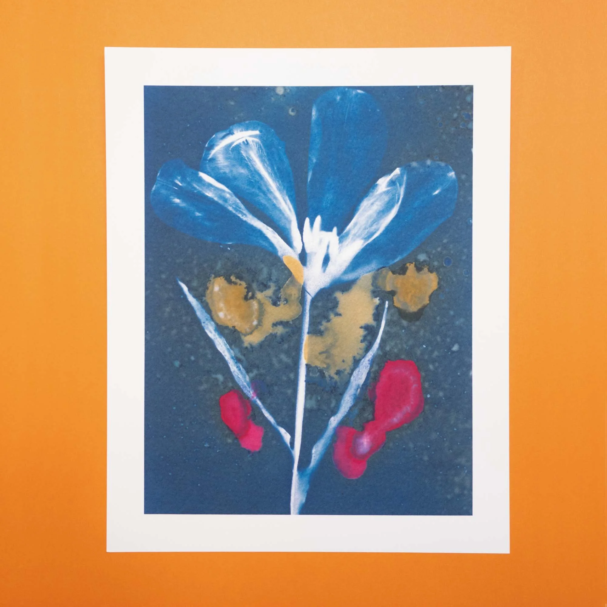 Cyanotype art print