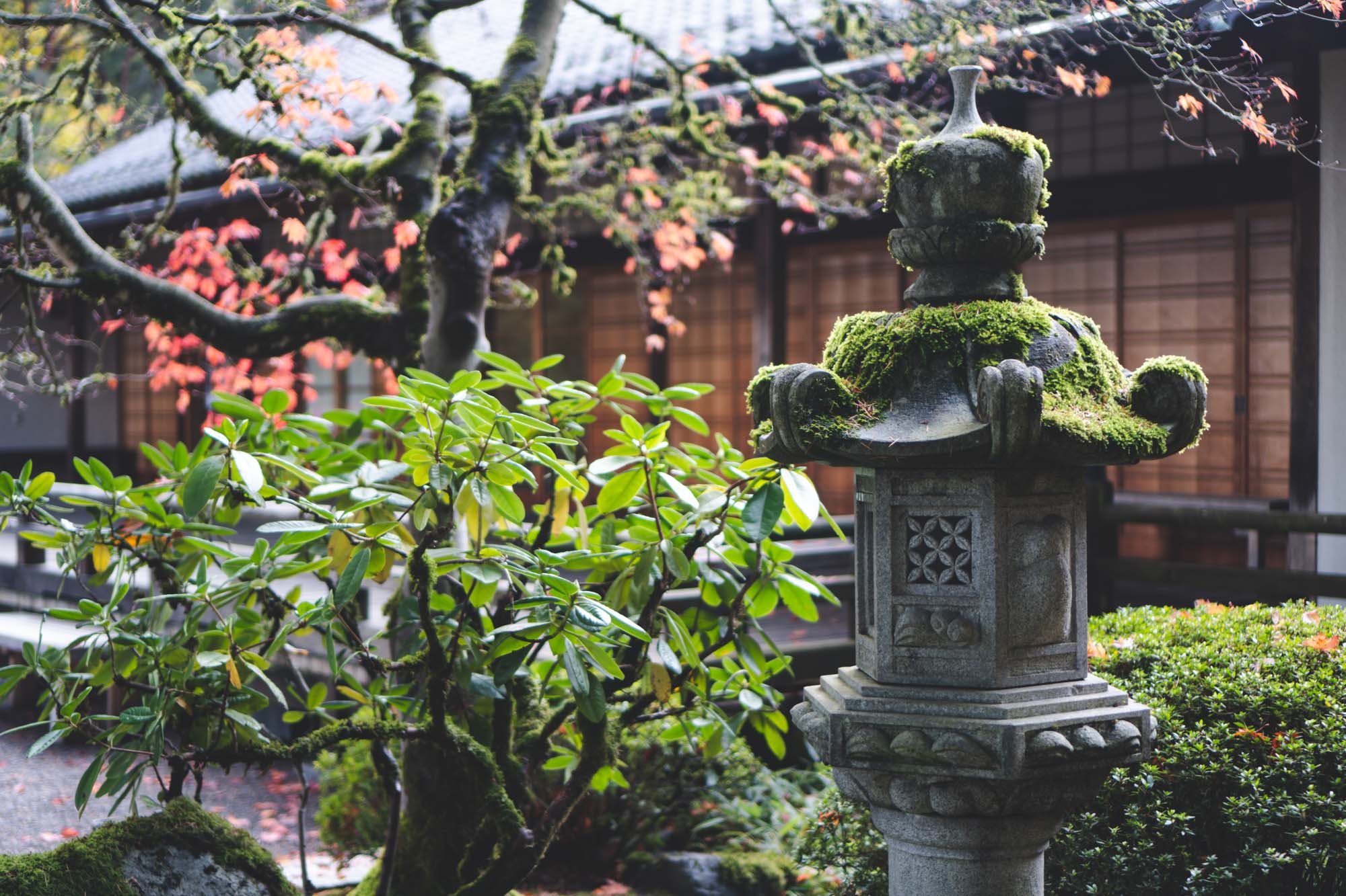 Portland Japanese Garden - 11042023 11 - web.jpg