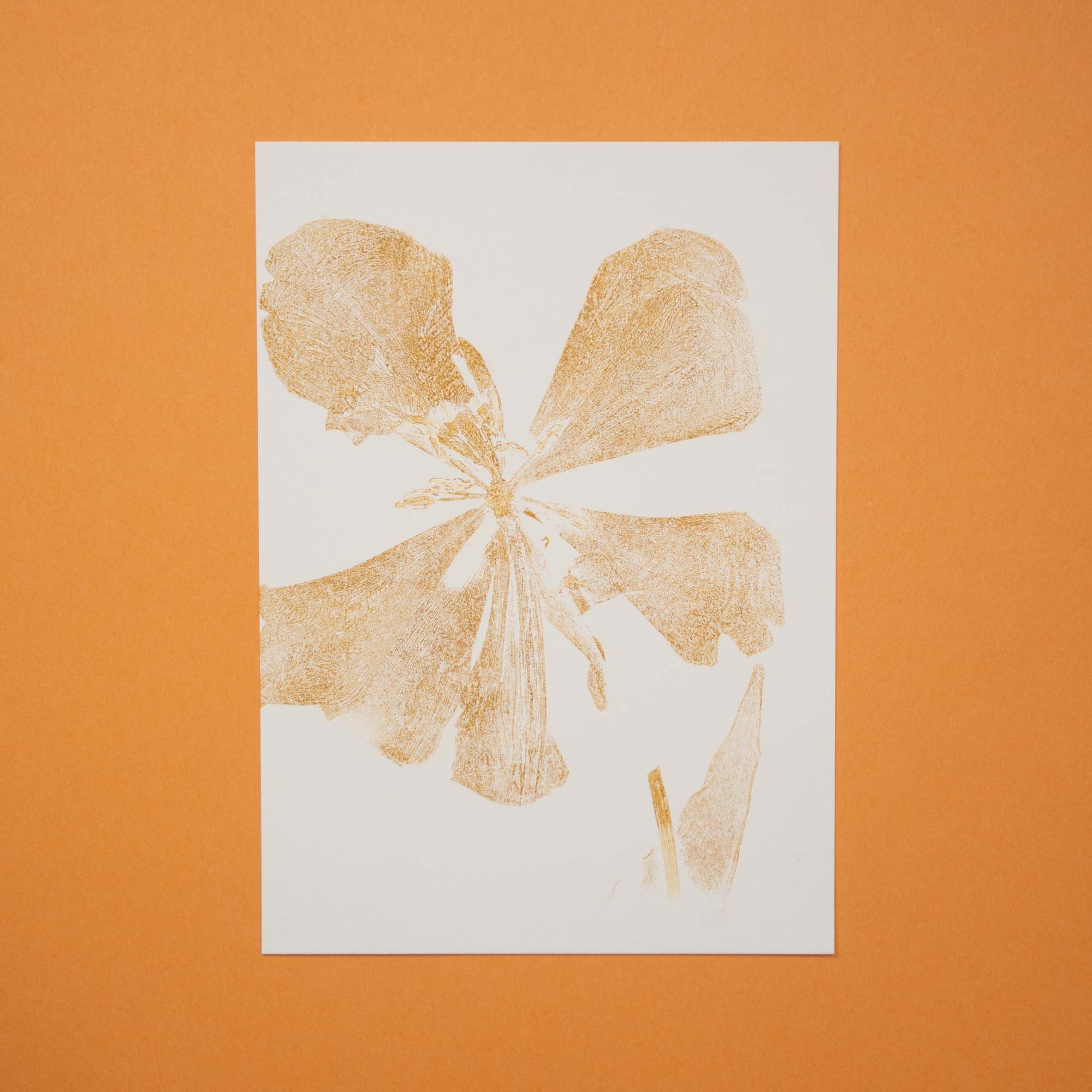 Botanical Monoprint (25AE) (Original)