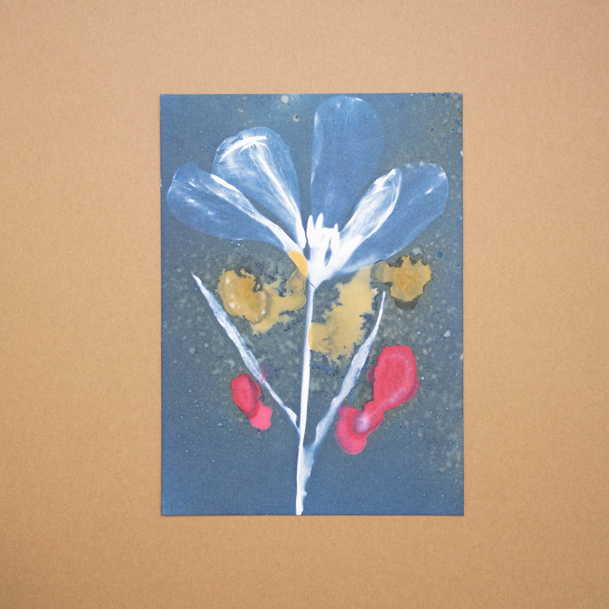 Botanical cyanotype