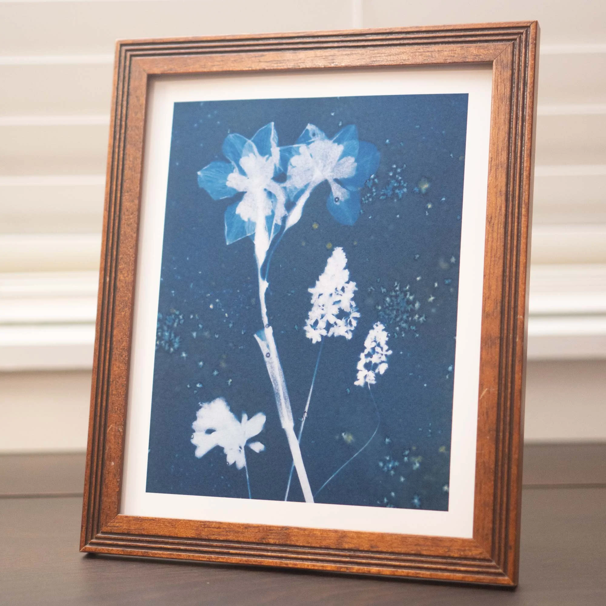 Cyanotype art print in a frame