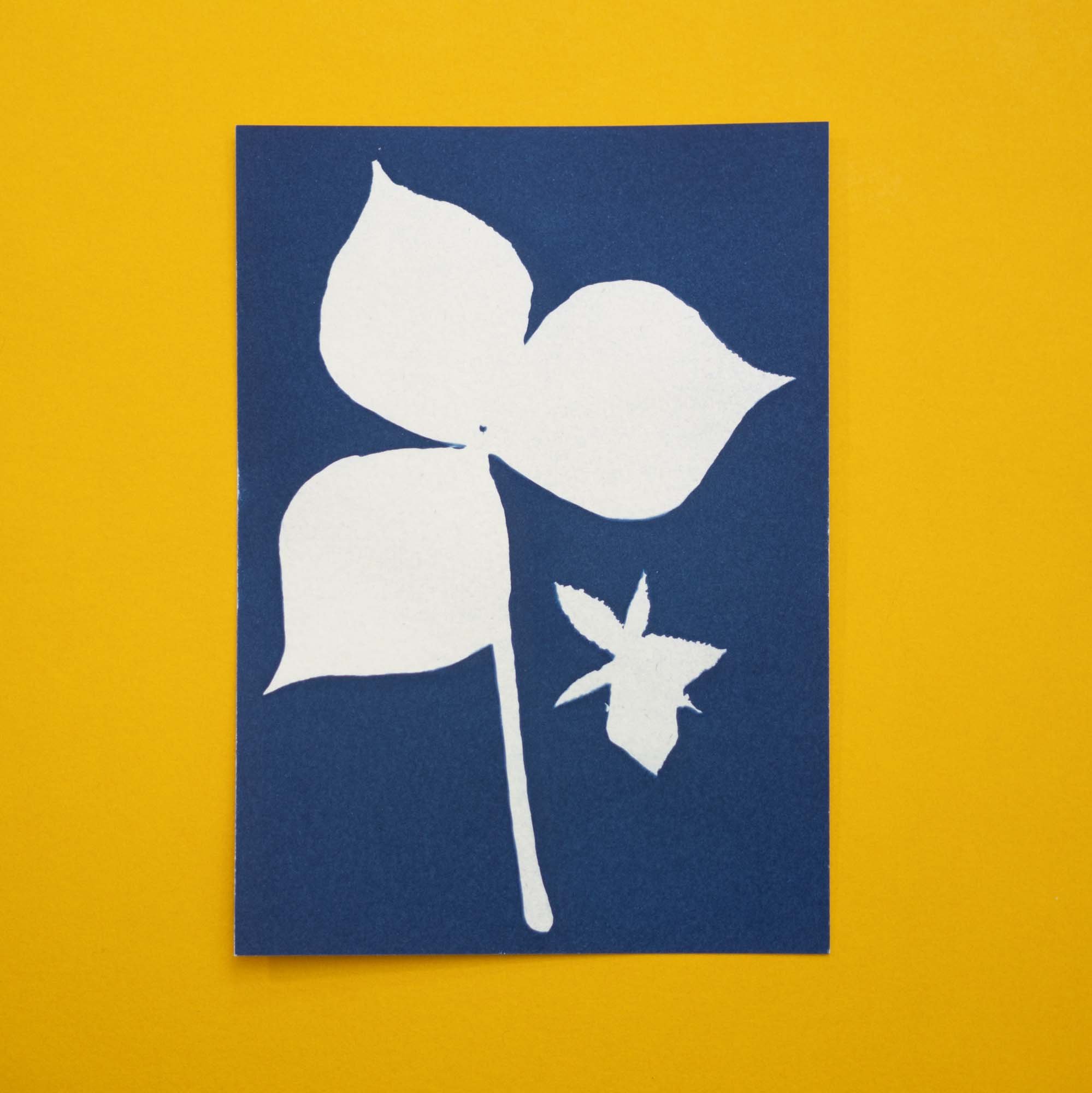 Botanical Cyanotype (25B05) (Original)