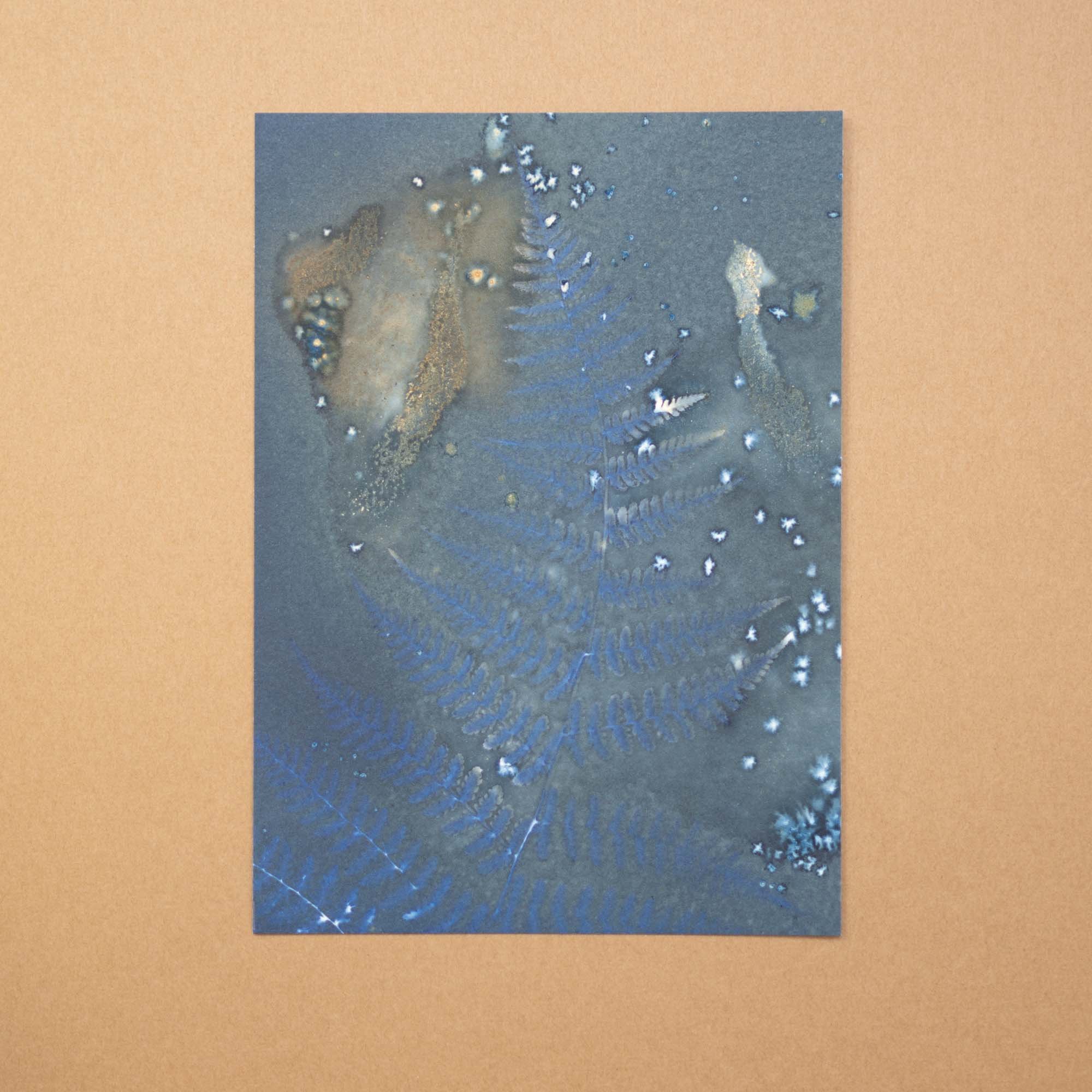 Botanical Cyanotype (25AD) (Original)