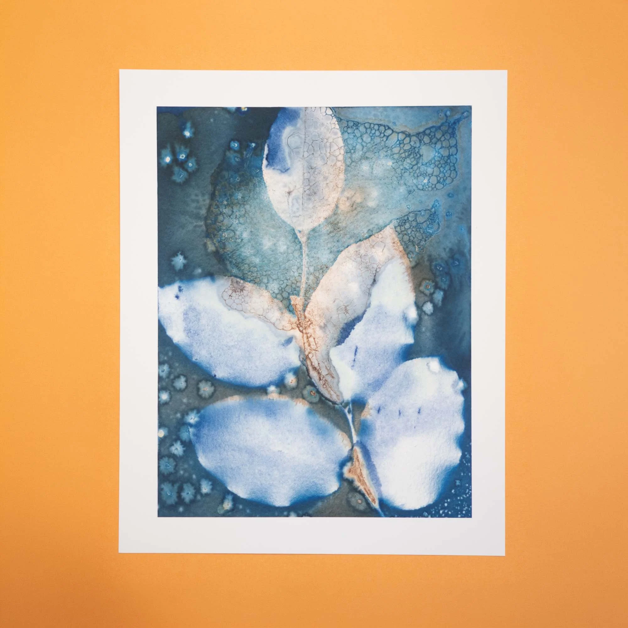 Cyanotype Art Print (R) - Salal