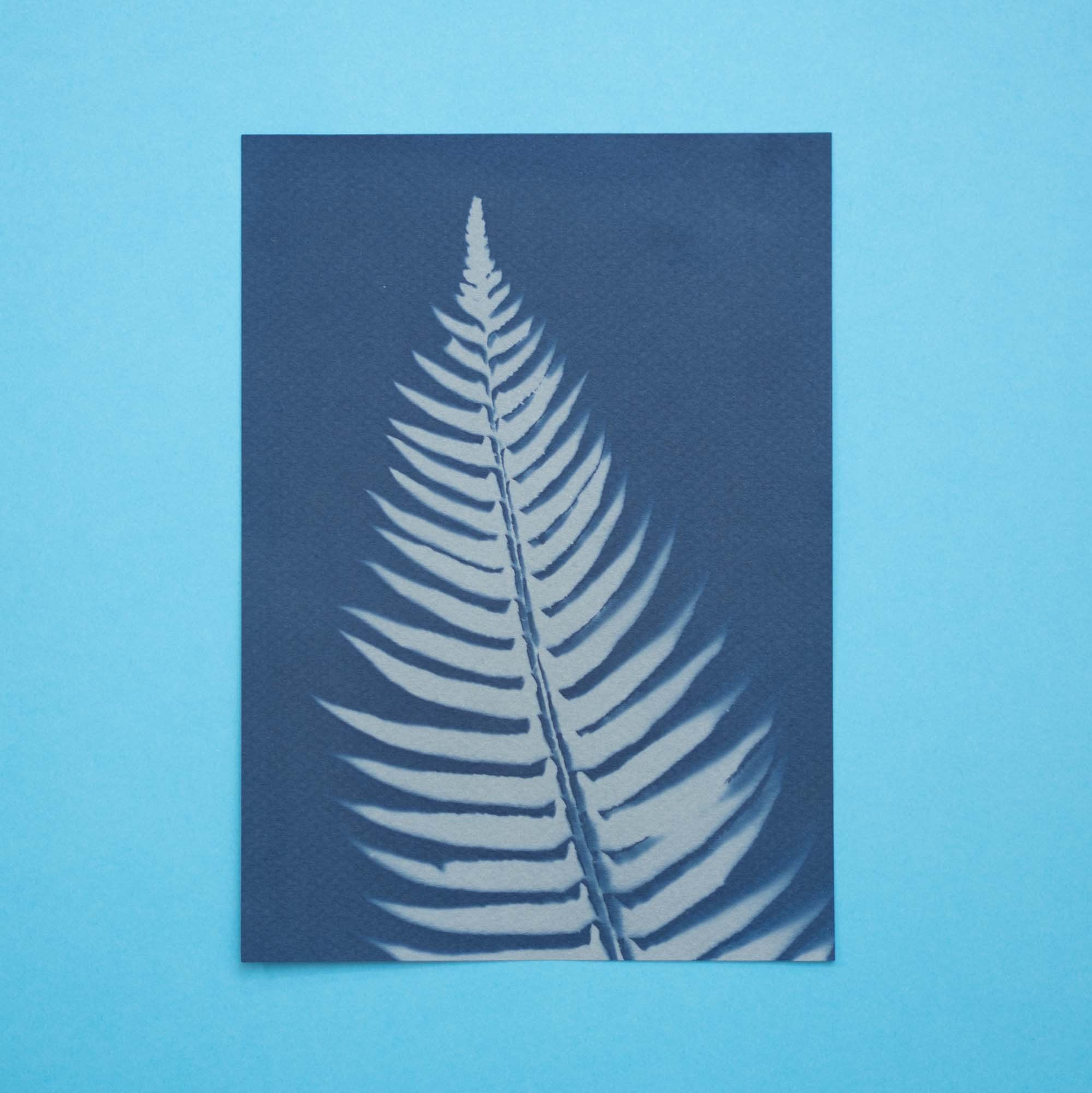 Botanical Cyanotype (25B13) (Original)