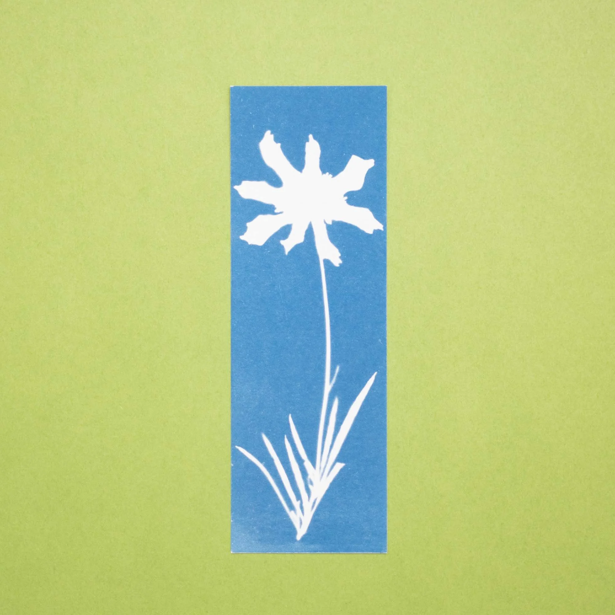 Botanical cyanotype