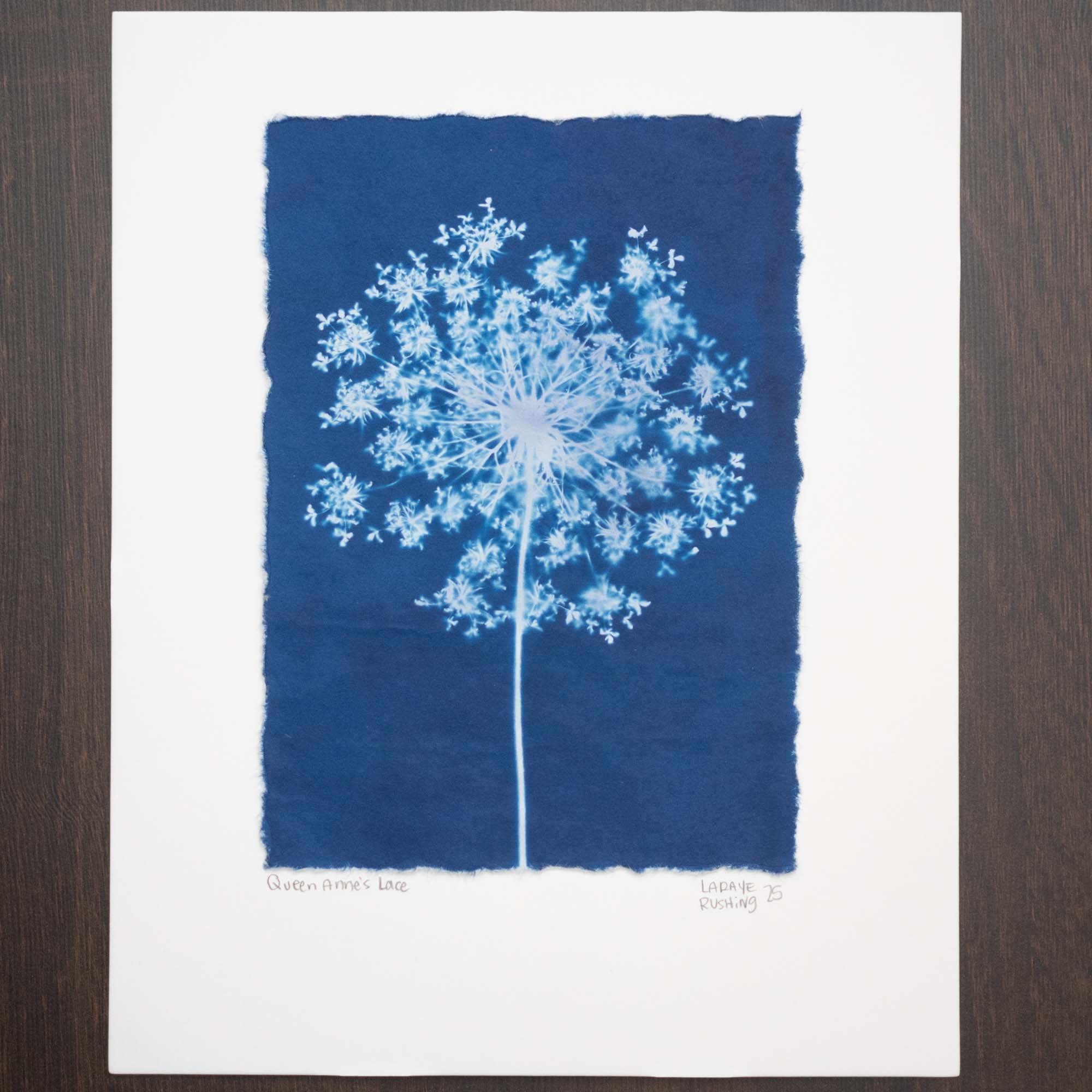 Botanical cyanotype
