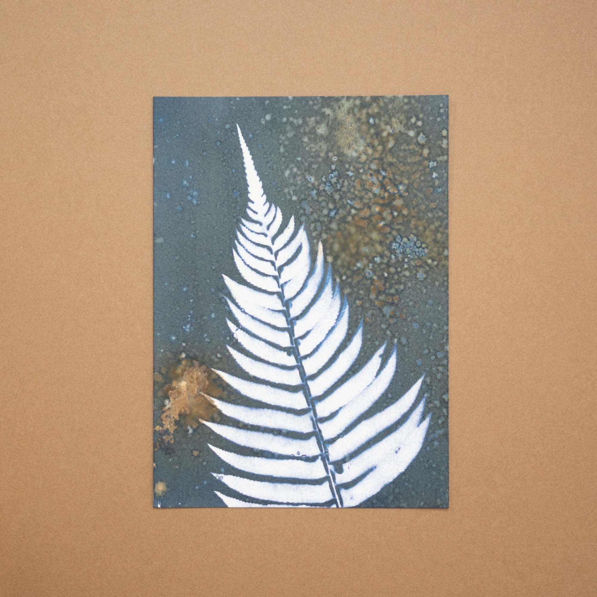 Botanical cyanotype