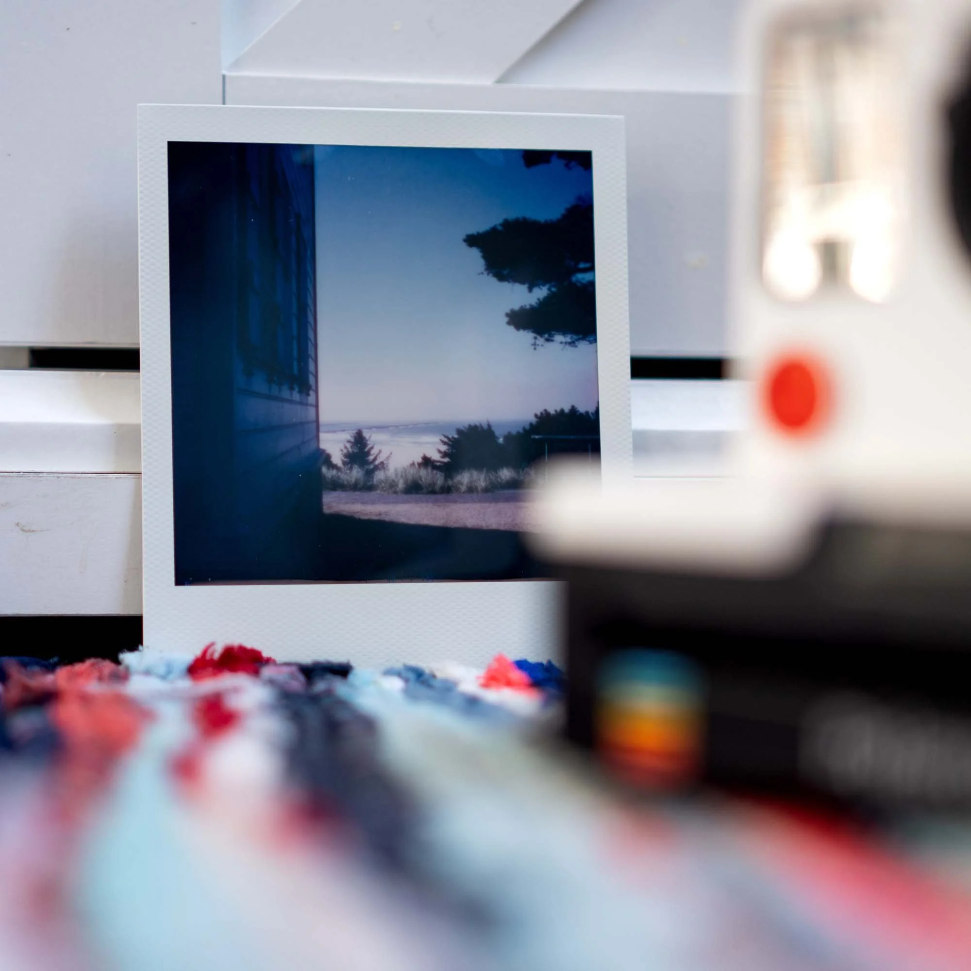 Polaroid Week Autumn 2022 - Day 04 Photo 02