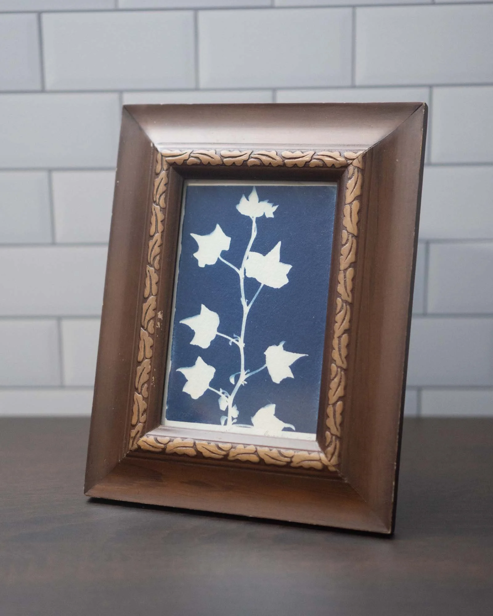 Thrifted Framed Original (Cyanotype)