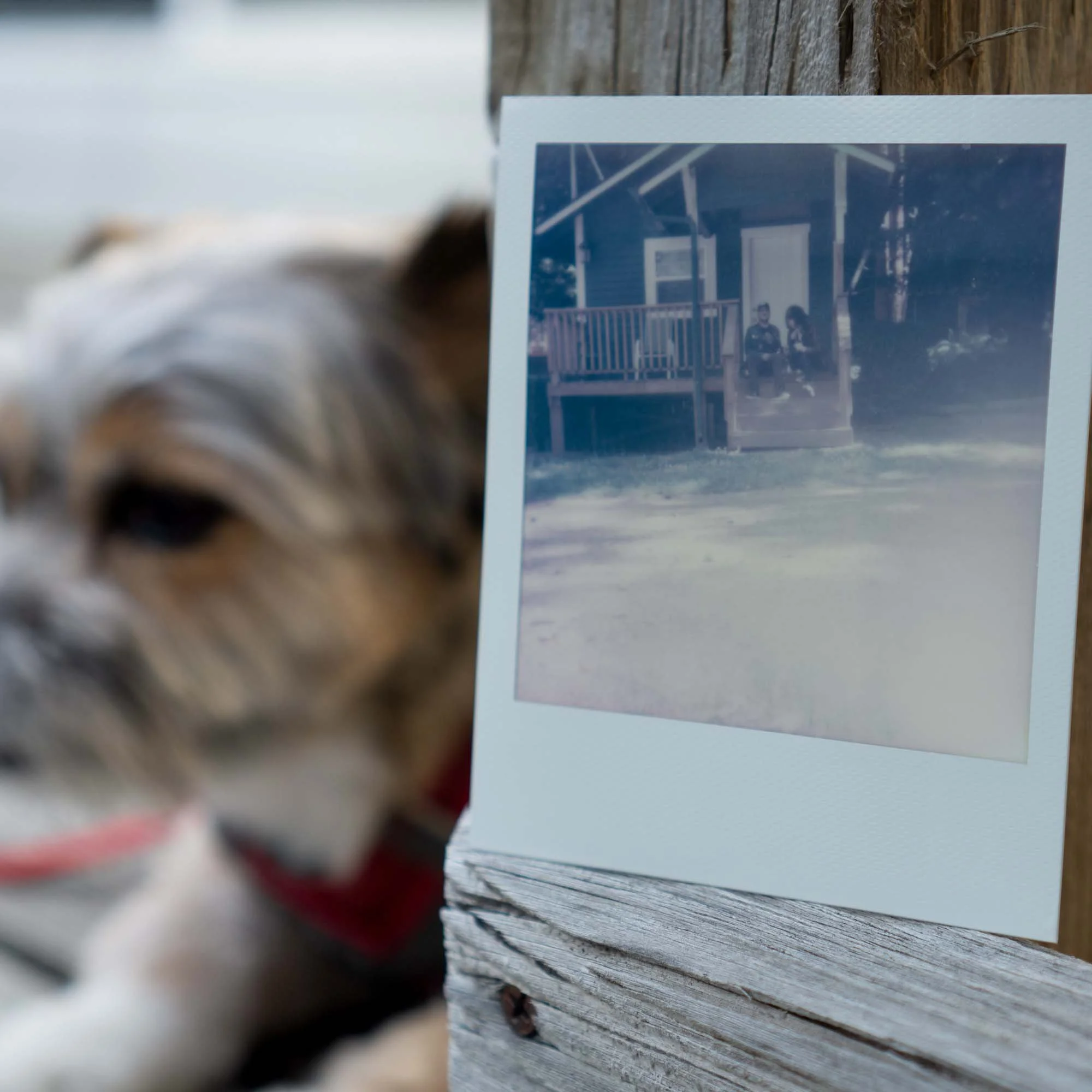 Polaroid Week Autumn 2022 - Day 01 Photo 01