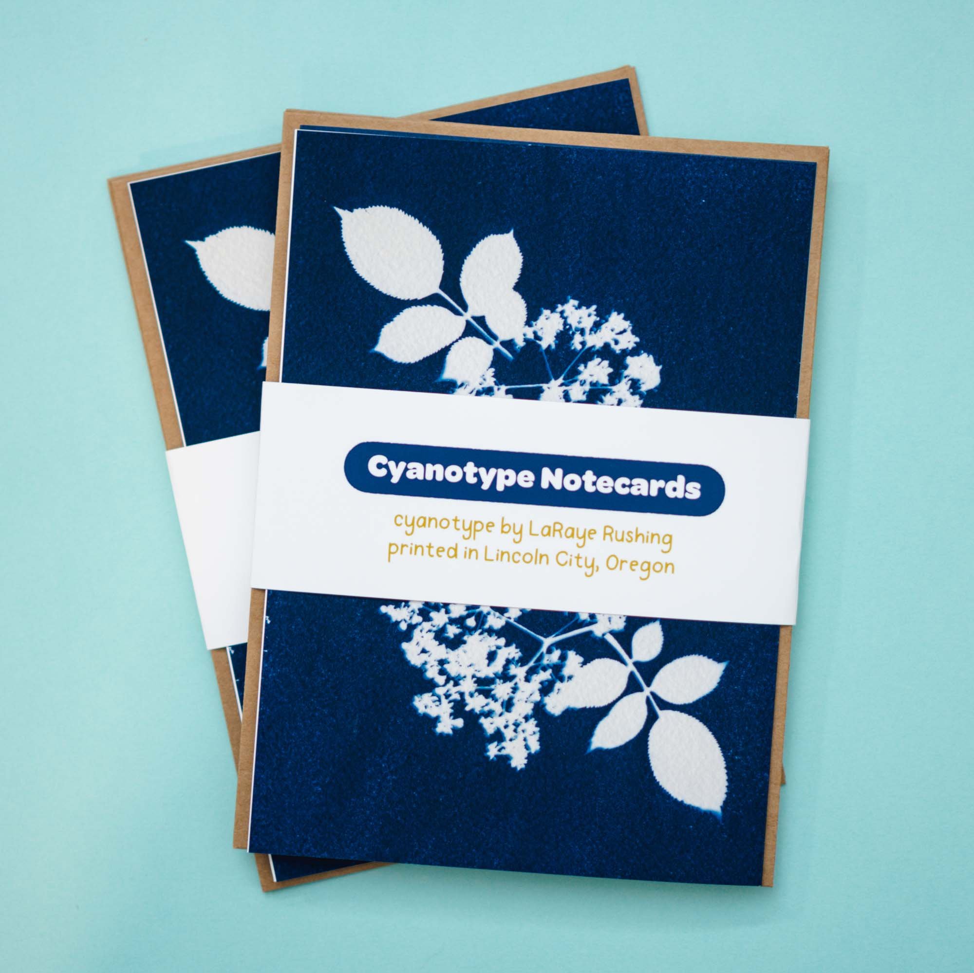 Cyanotype Notecard Set